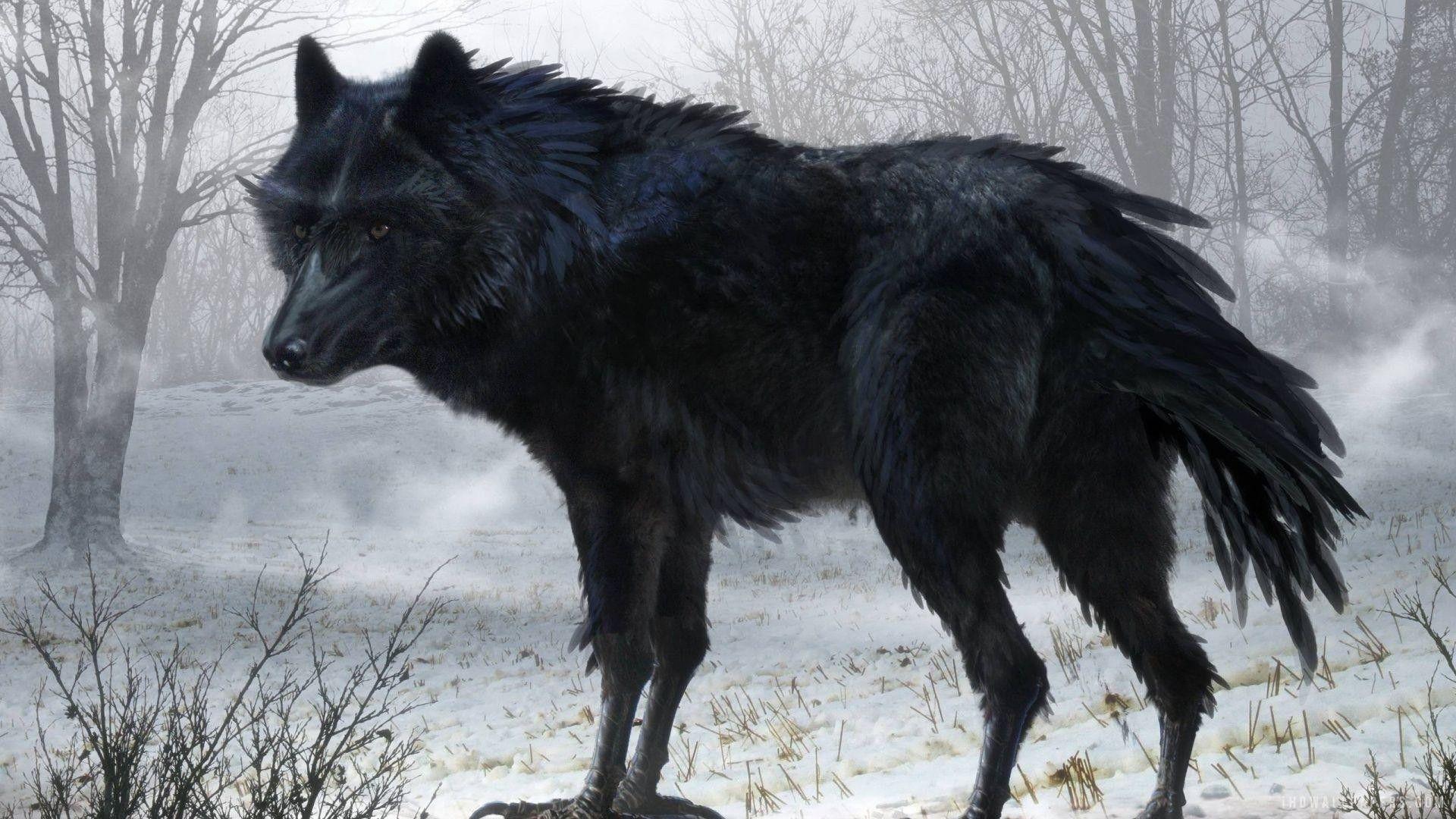 1920x1080 Wolf Wallpaper 1920X1080 background picture