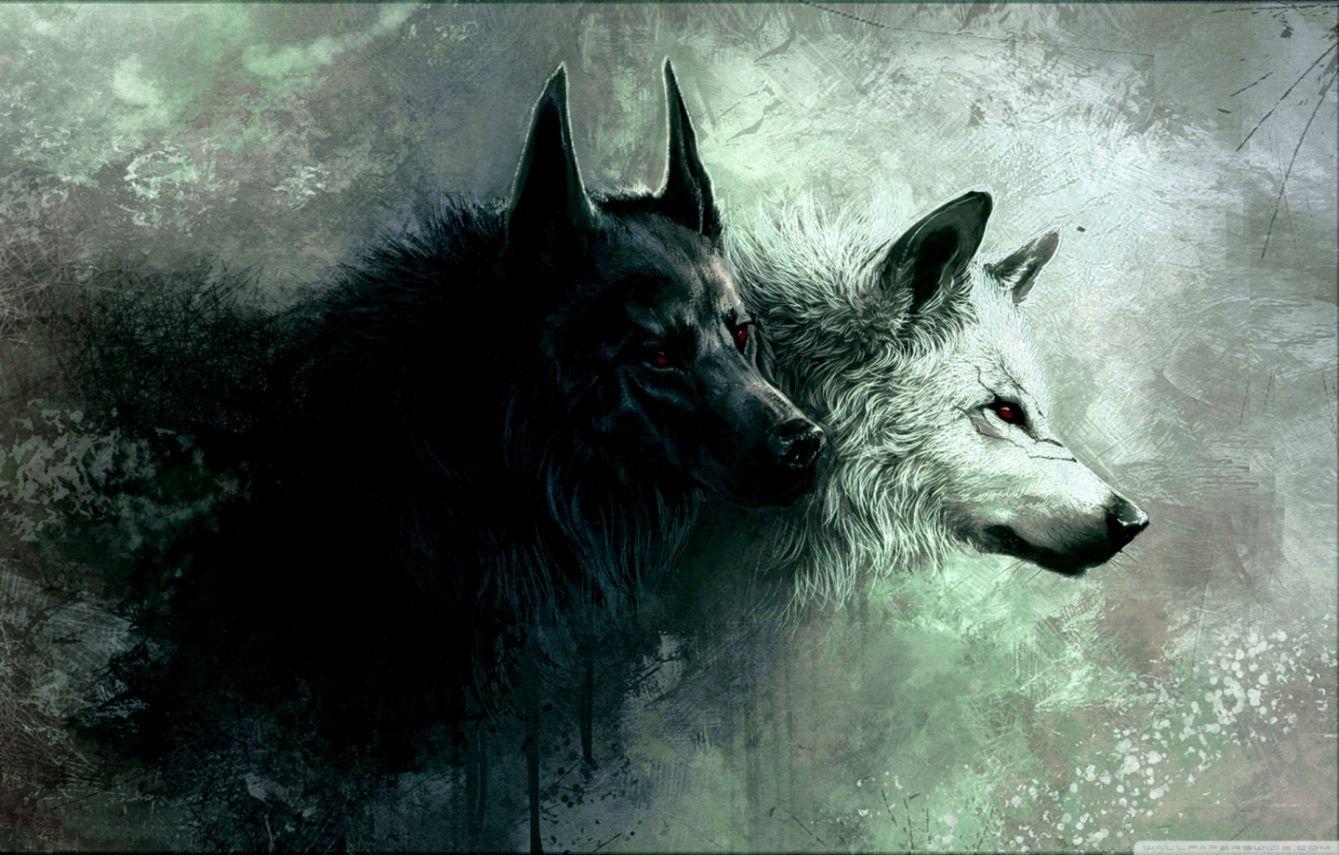 1339x855 Wolf Wallpaper Black And White