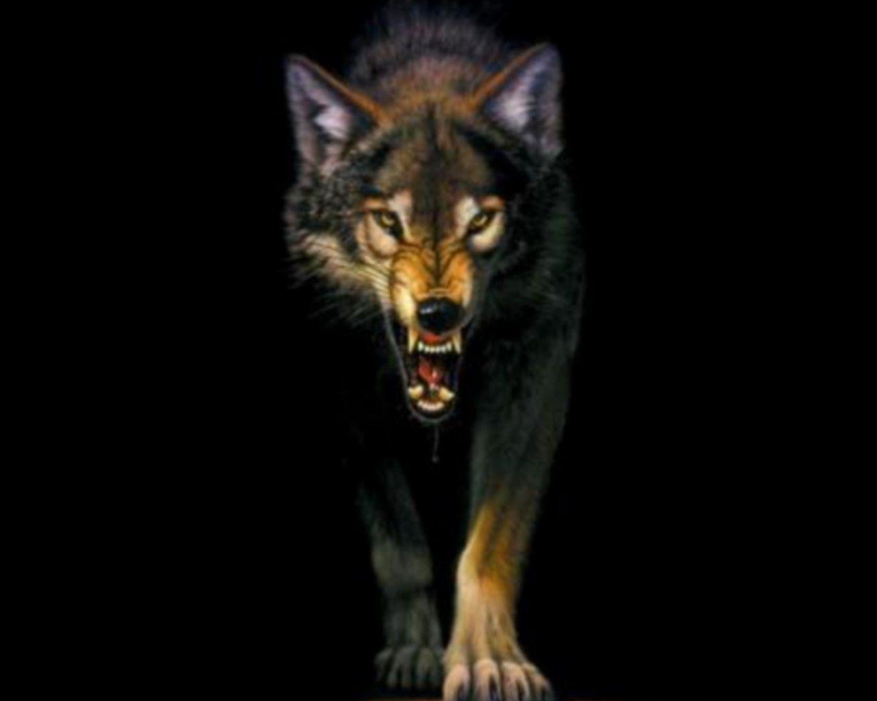 1280x1024 Black Wolf Galaxy Wallpaper