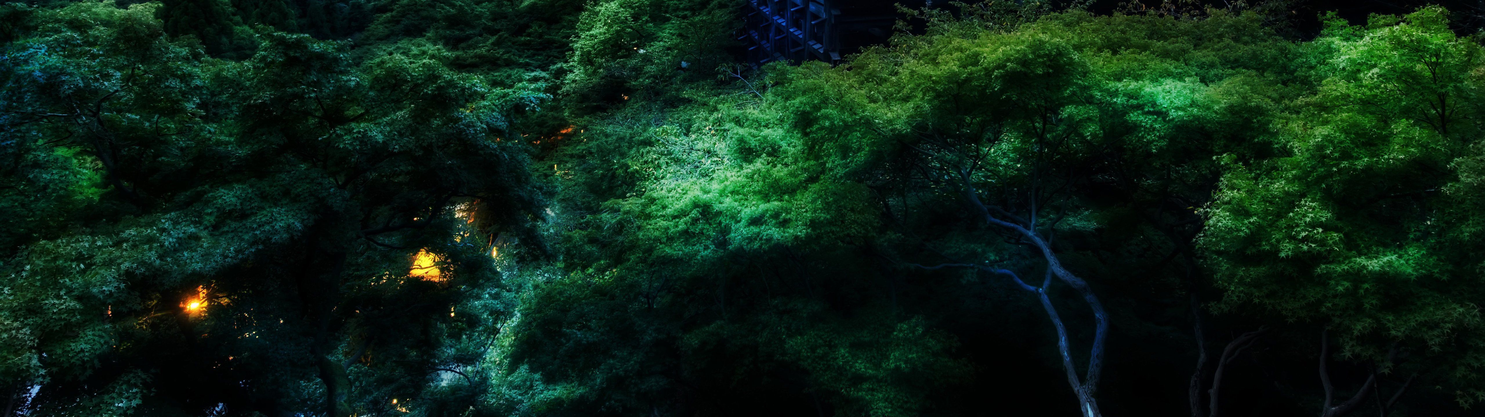 5120x1440 Forest Wallpaper