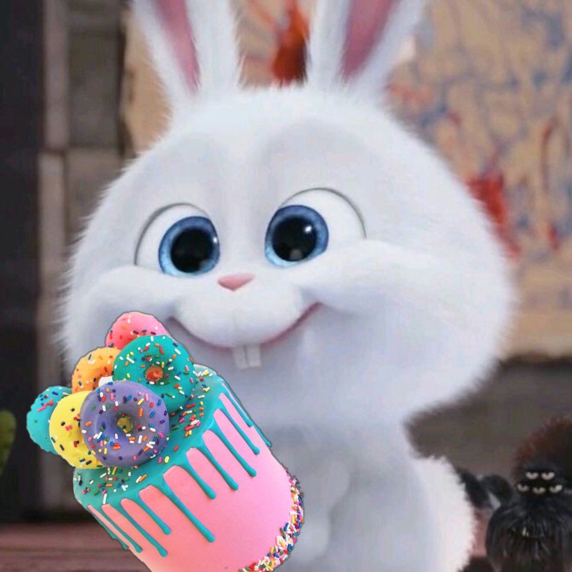 Snowball Bunny Wallpapers - Top Free Snowball Bunny Backgrounds ...