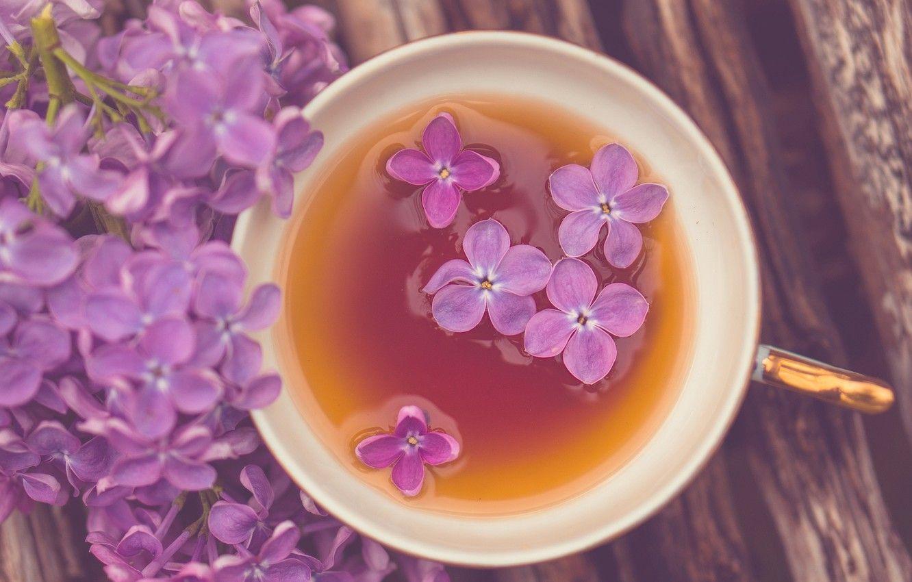 1332x850 Wallpaper purple, flowers, widescreen, Wallpaper, tea, mood