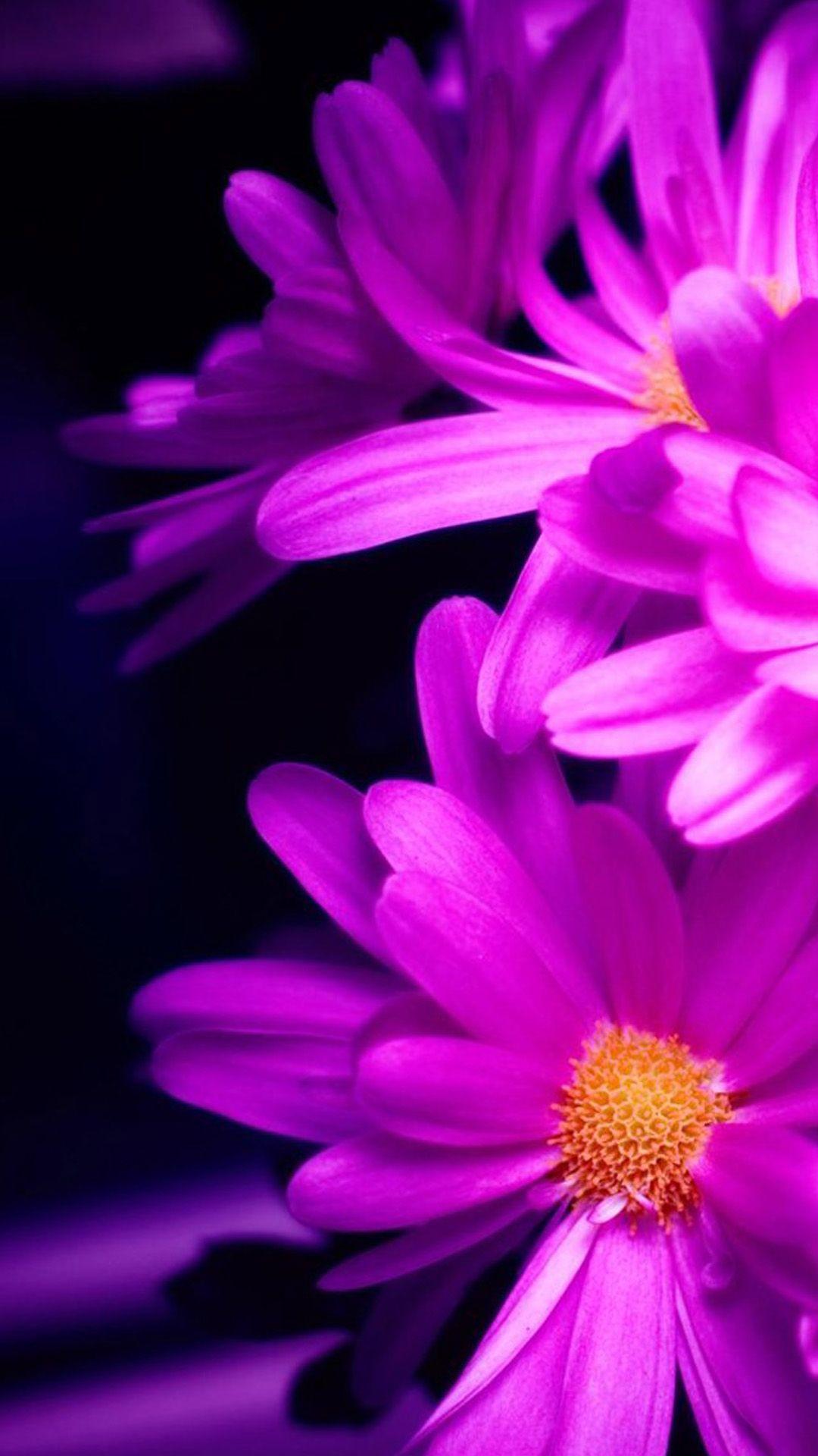 1080x1920 Flower iPhone Background 1
