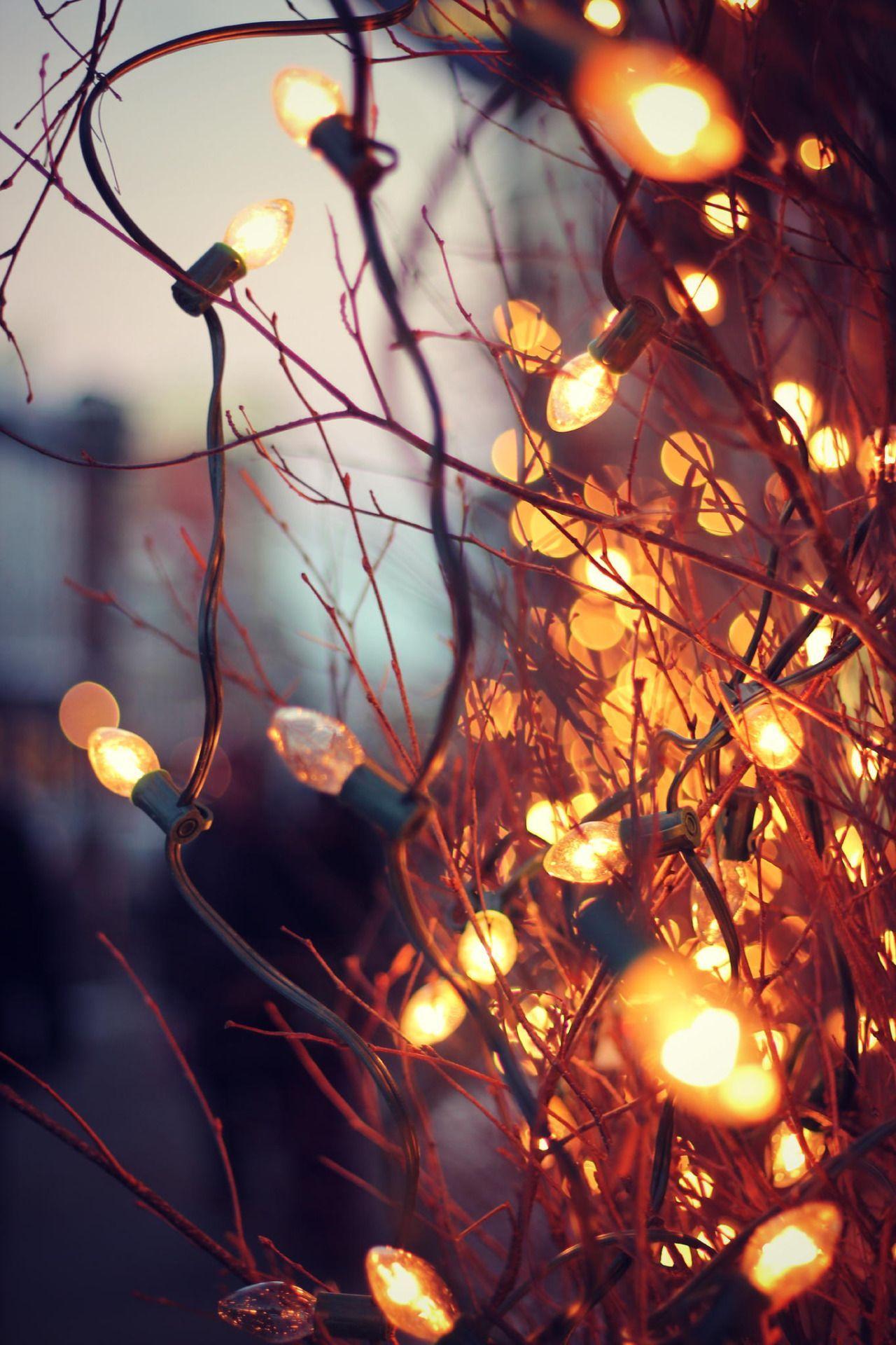 1280x1920 Fall Tumblr Wallpaper, HD Wallpaper & background