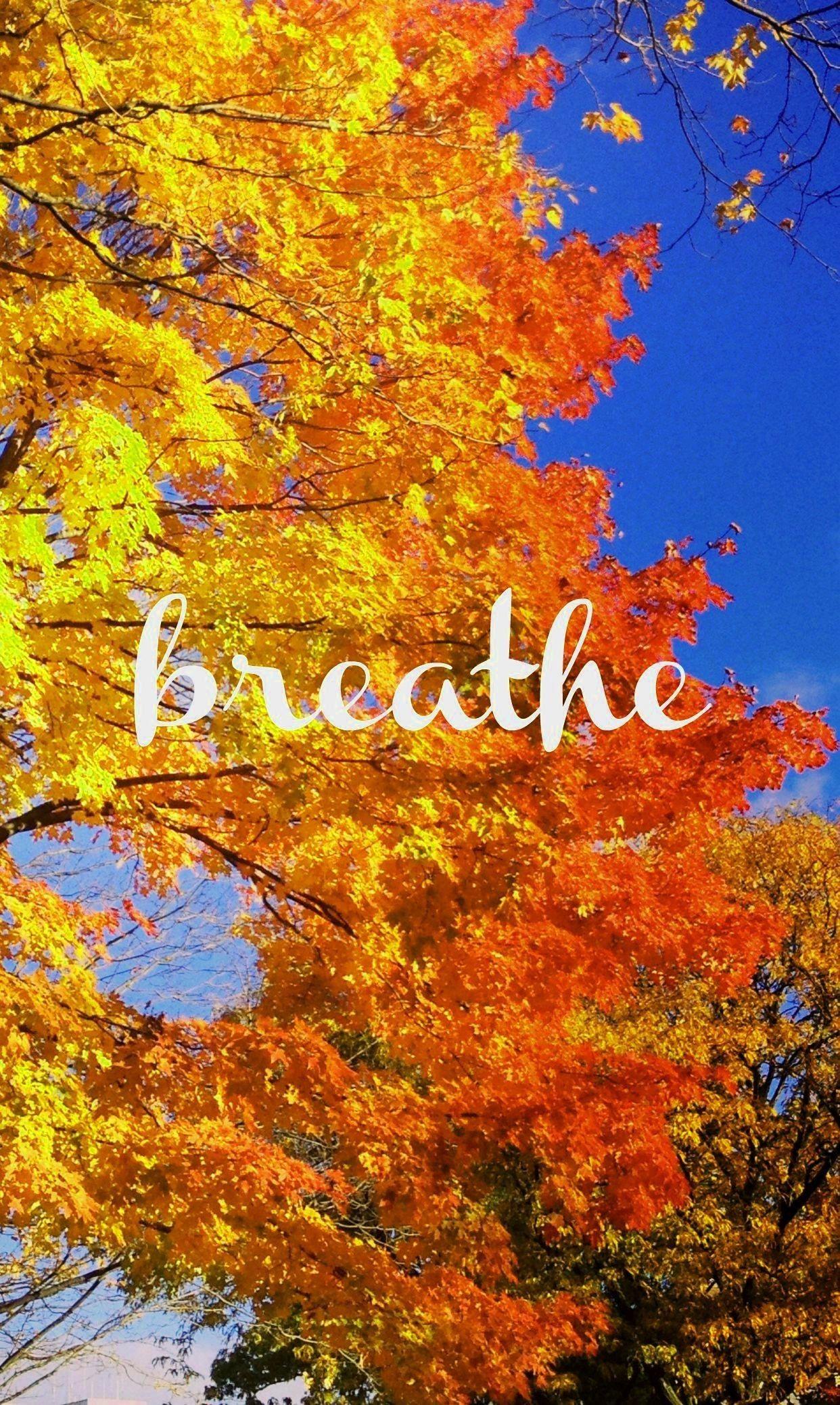 1242x2076 Pinterest Autumn Wallpaper