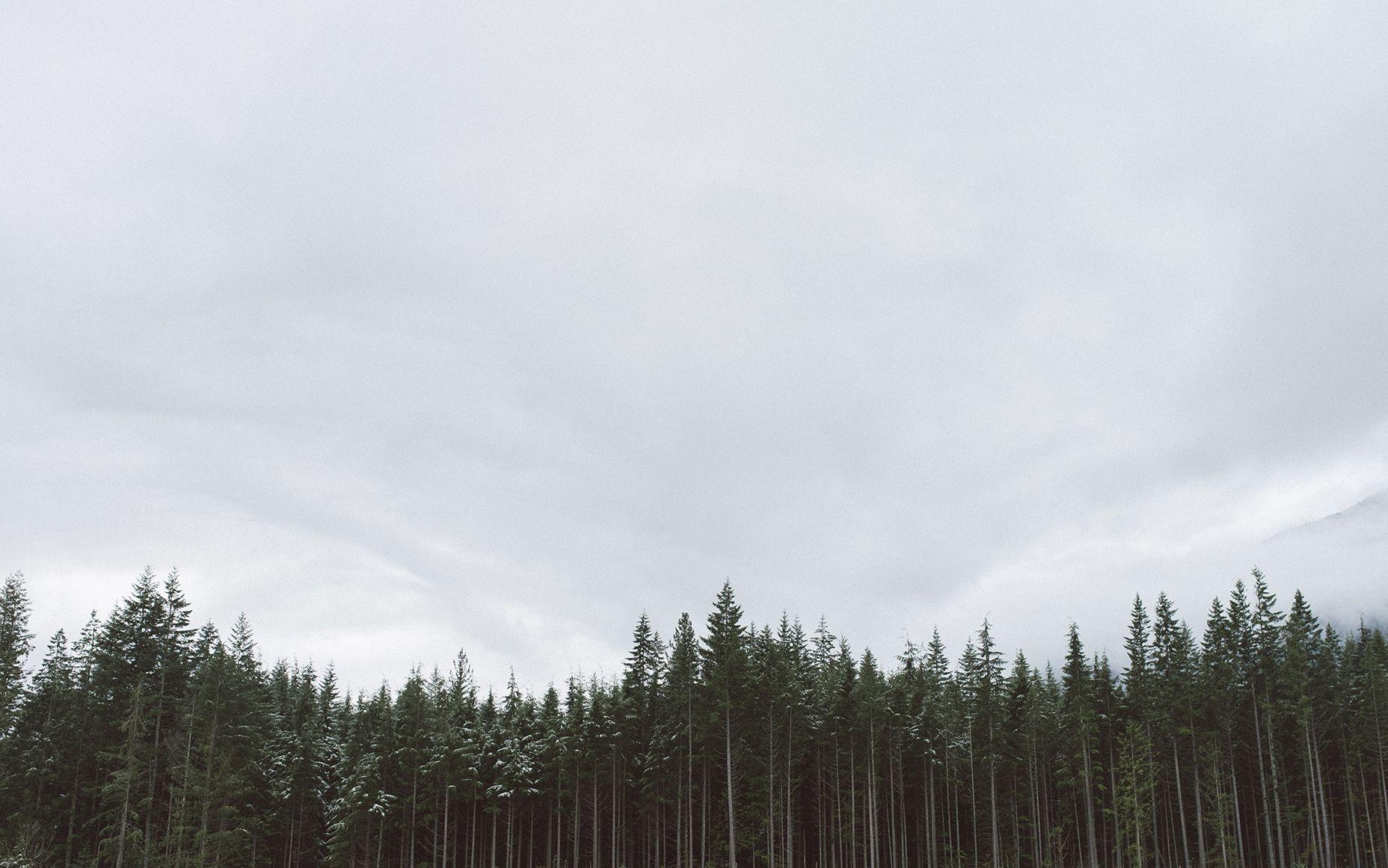 1856x1161 November Desktop Background Pretty Thing