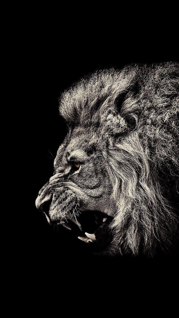 736x1308 Lion Black Amoled Wallpaper [1080x1920] Need #iPhone S