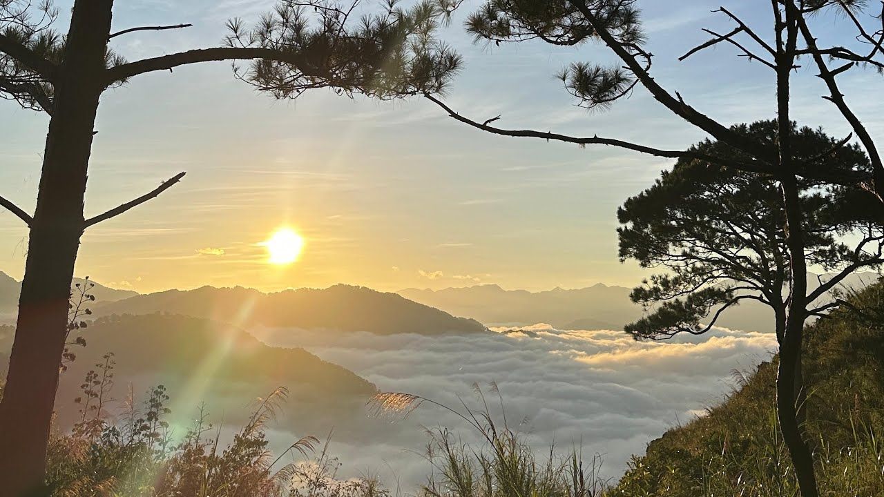 1280x720 Wander Shy: 2023 SAGADA DIARY