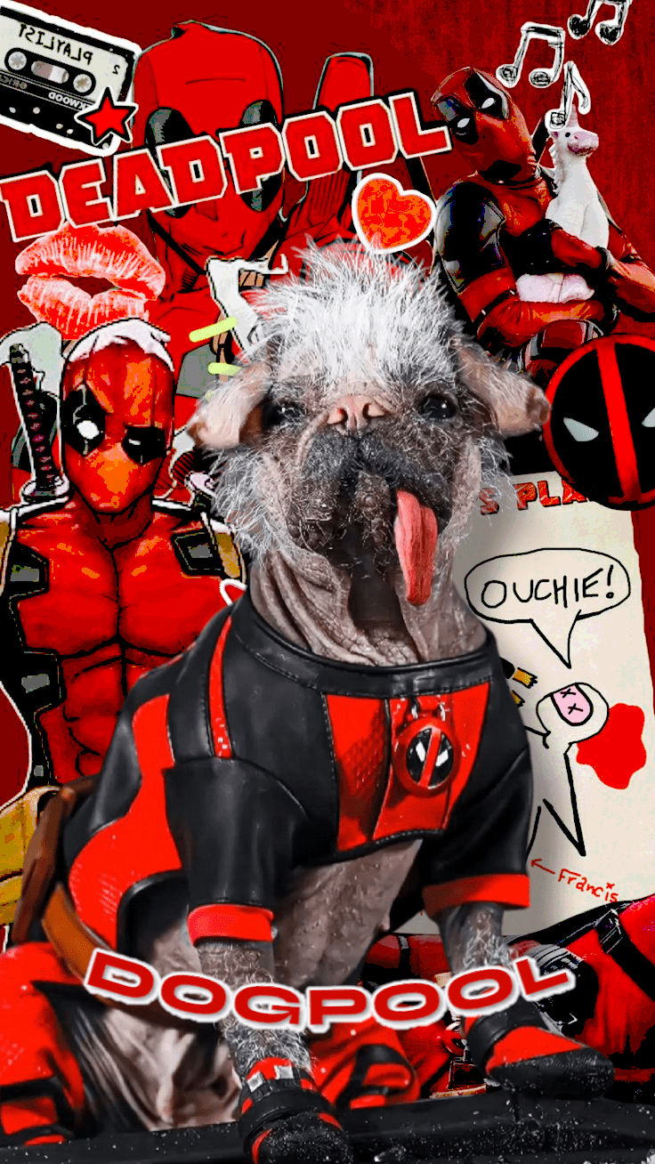 736x1308 Wolverine Dogpool Deadpool Phone Wallpaper