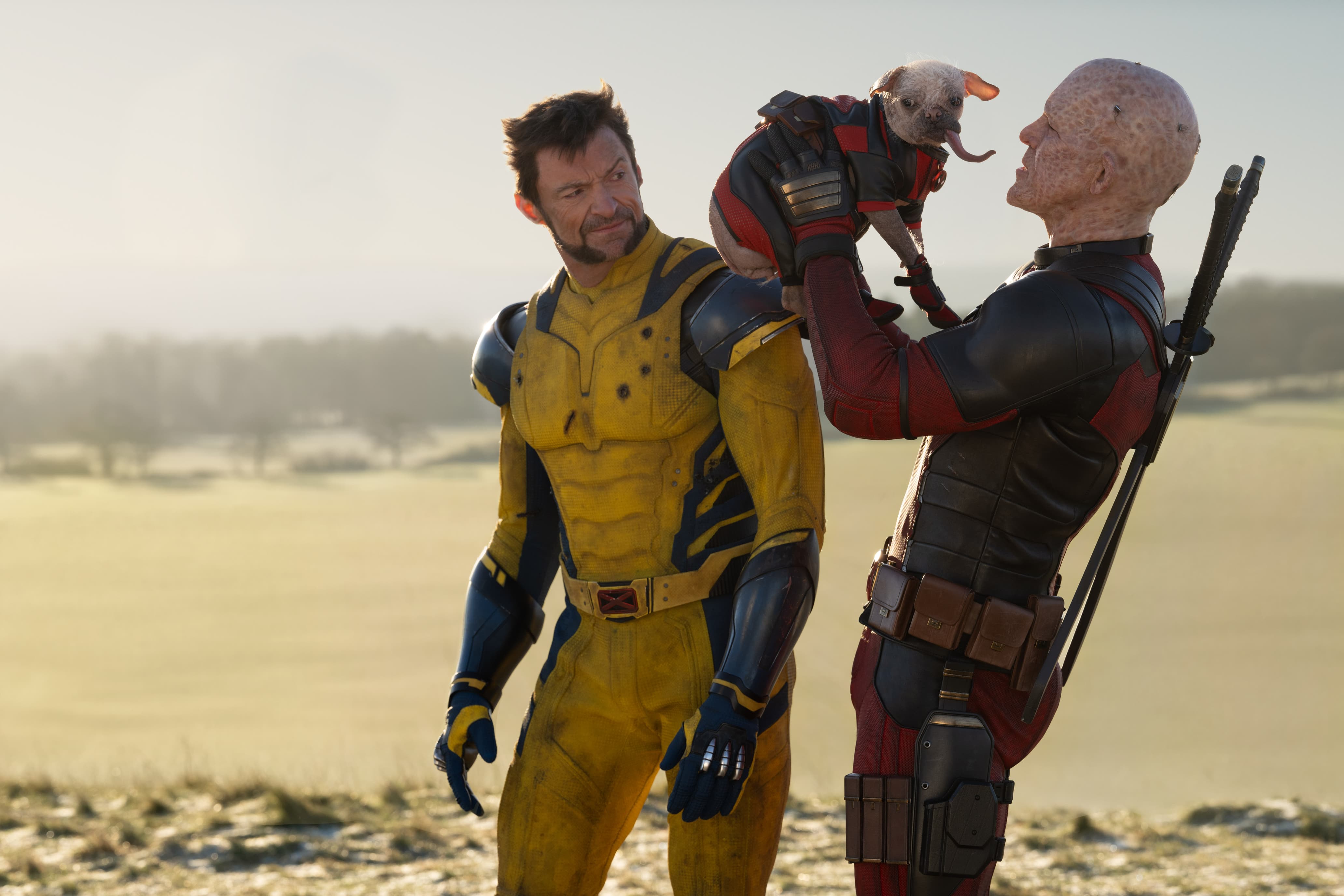 4128x2752 Deadpool & Wolverine