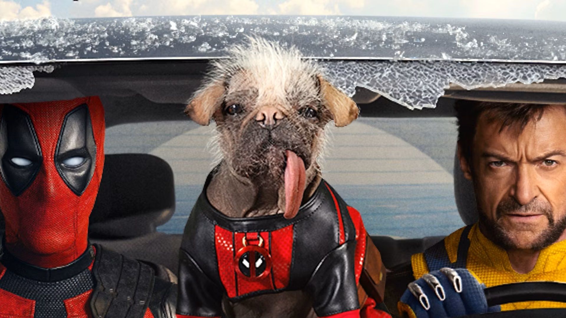 Dogpool Wallpapers - Top Free Dogpool Backgrounds - WallpaperAccess