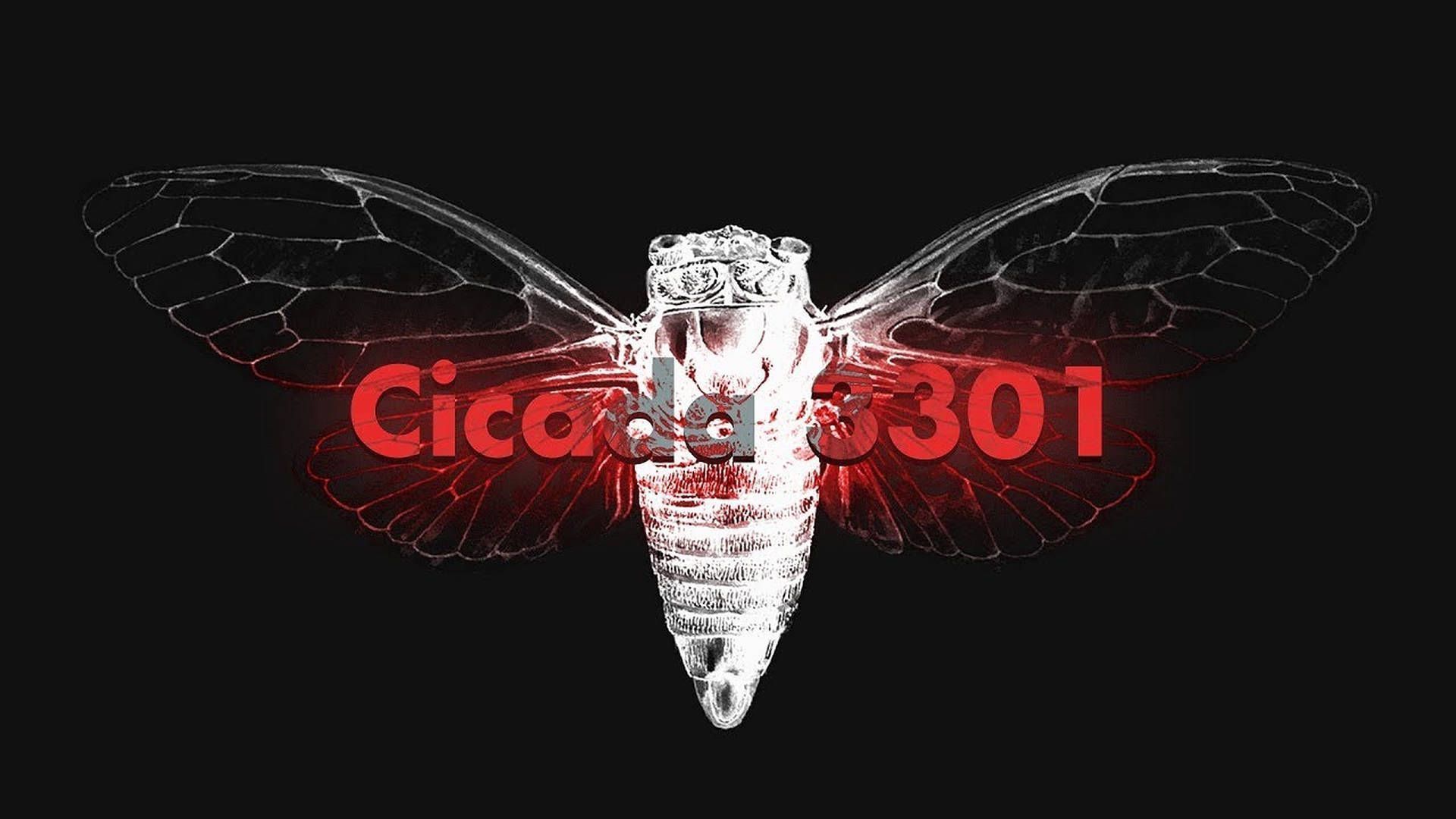 1920x1080 internet puzzle poster. Wallpaper