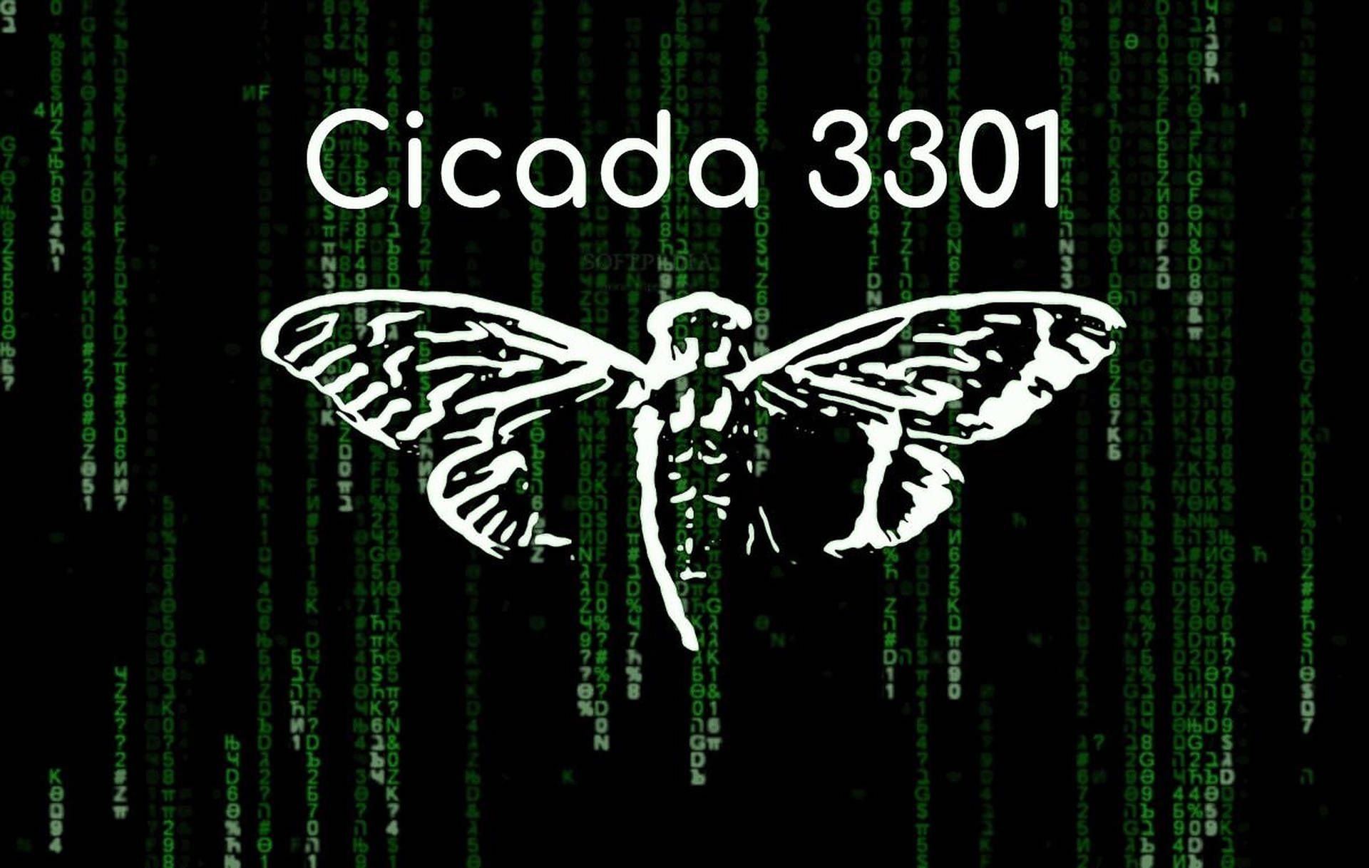 1920x1218 Cicada Background