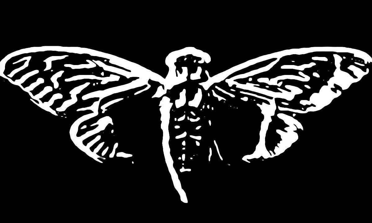 1200x720 needs cicada 3301 solutions