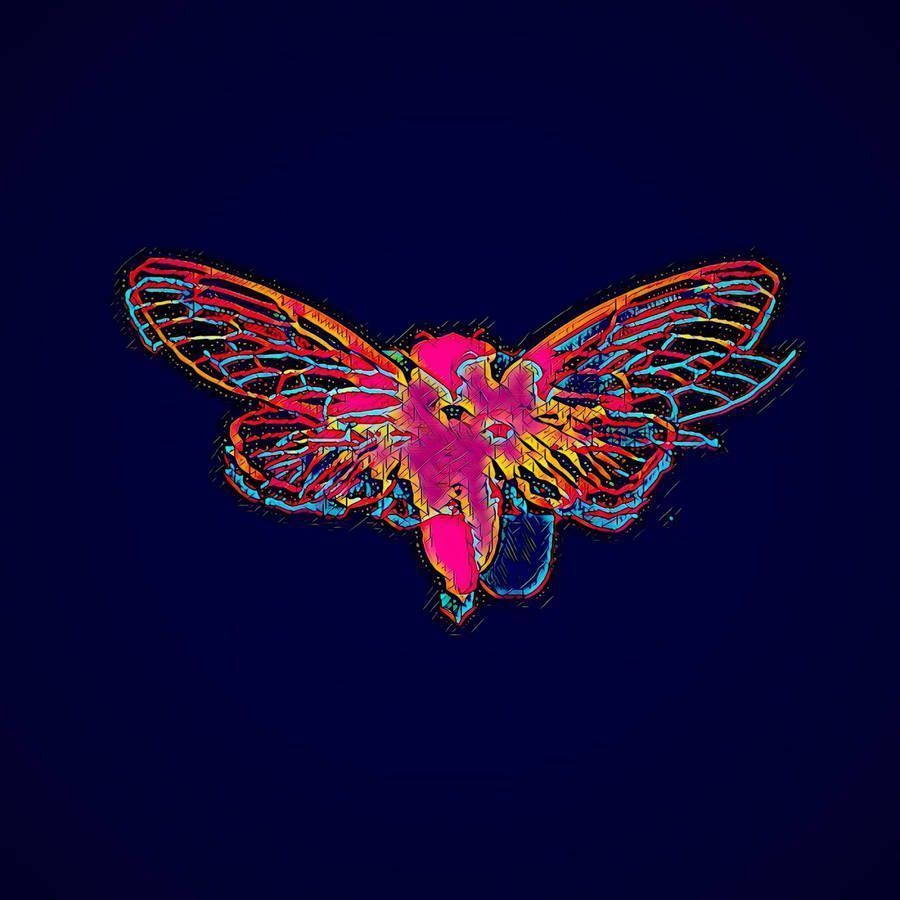 900x900 Colorful Cicada Art Wallpaper