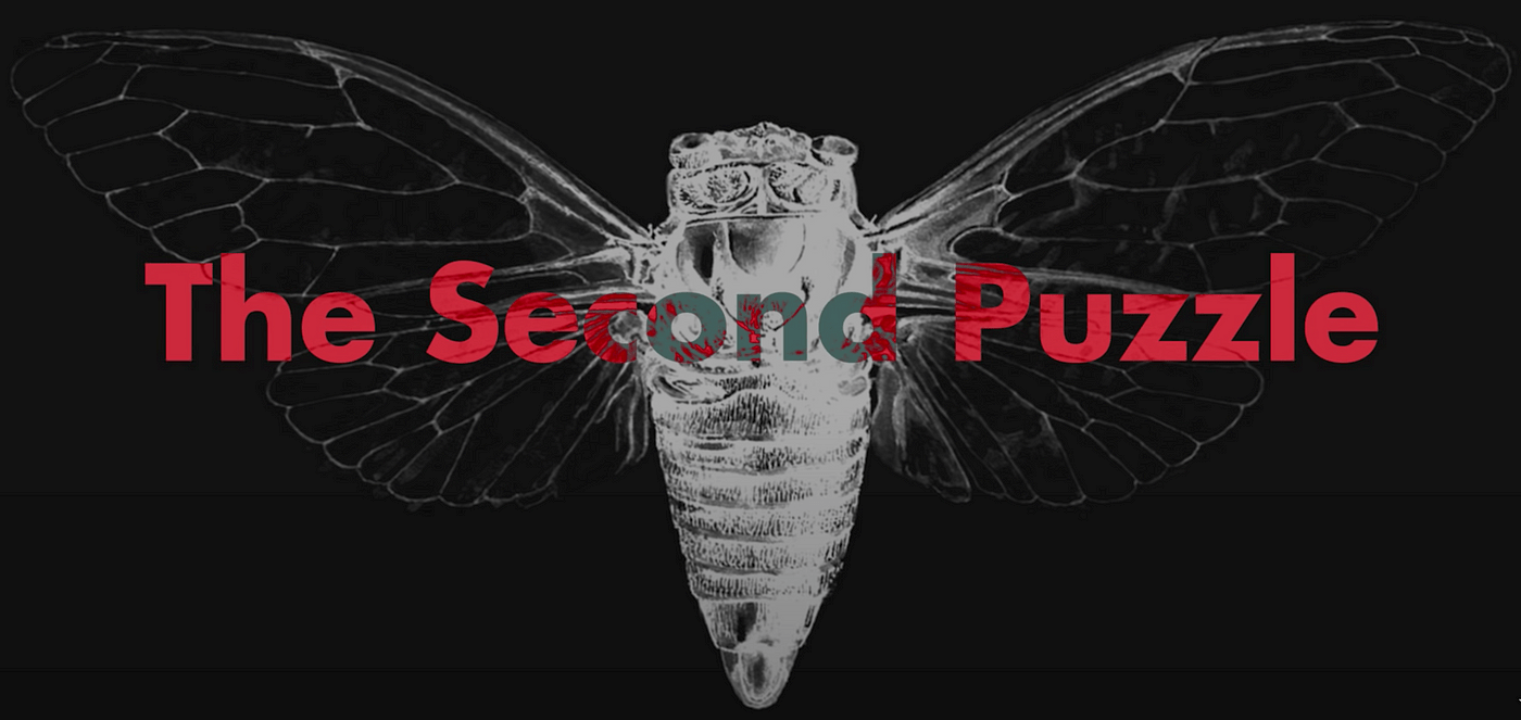 1400x663 Cicada 3301