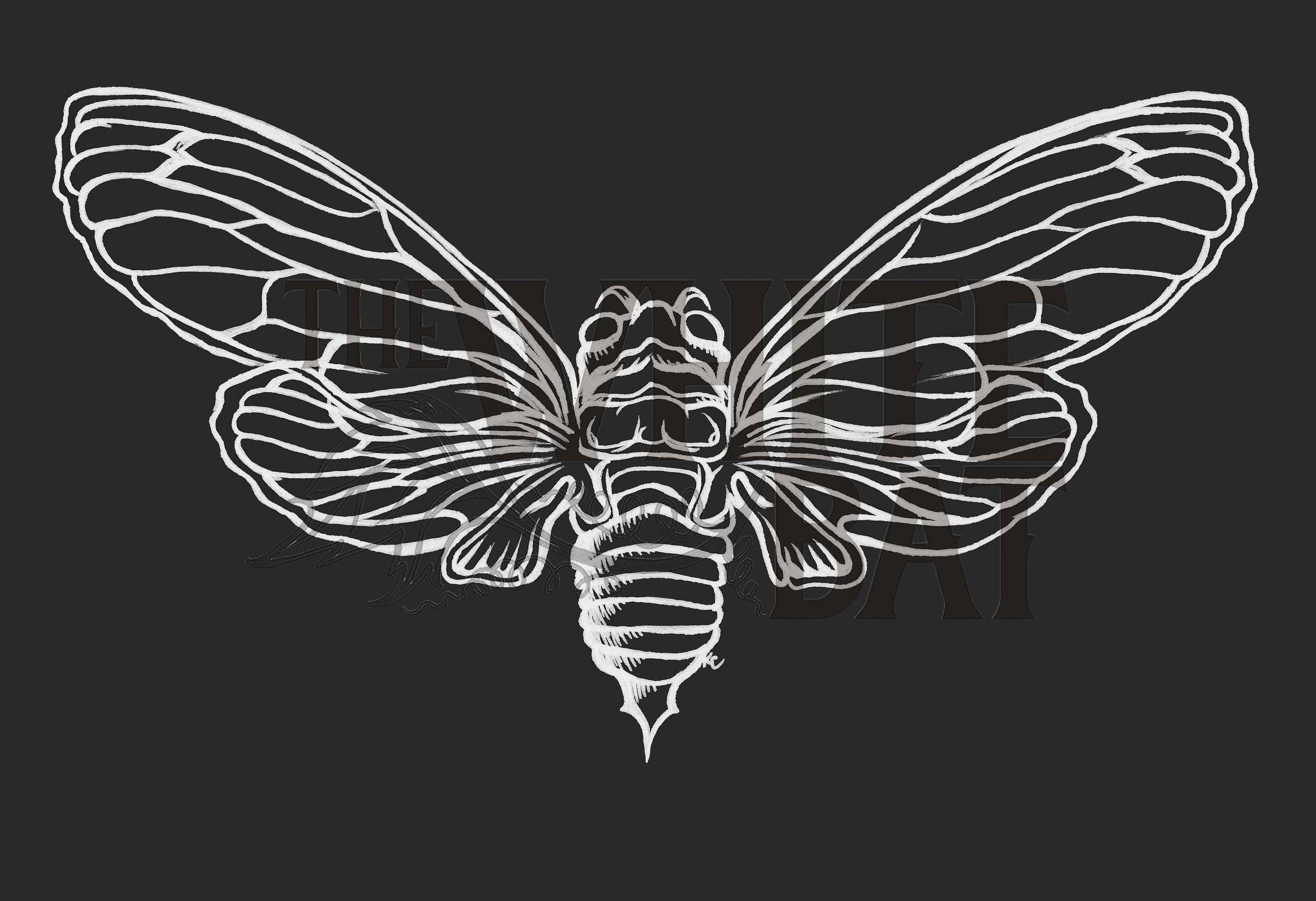3000x2054 Moonlight Pharaoh Cicada Digital Art