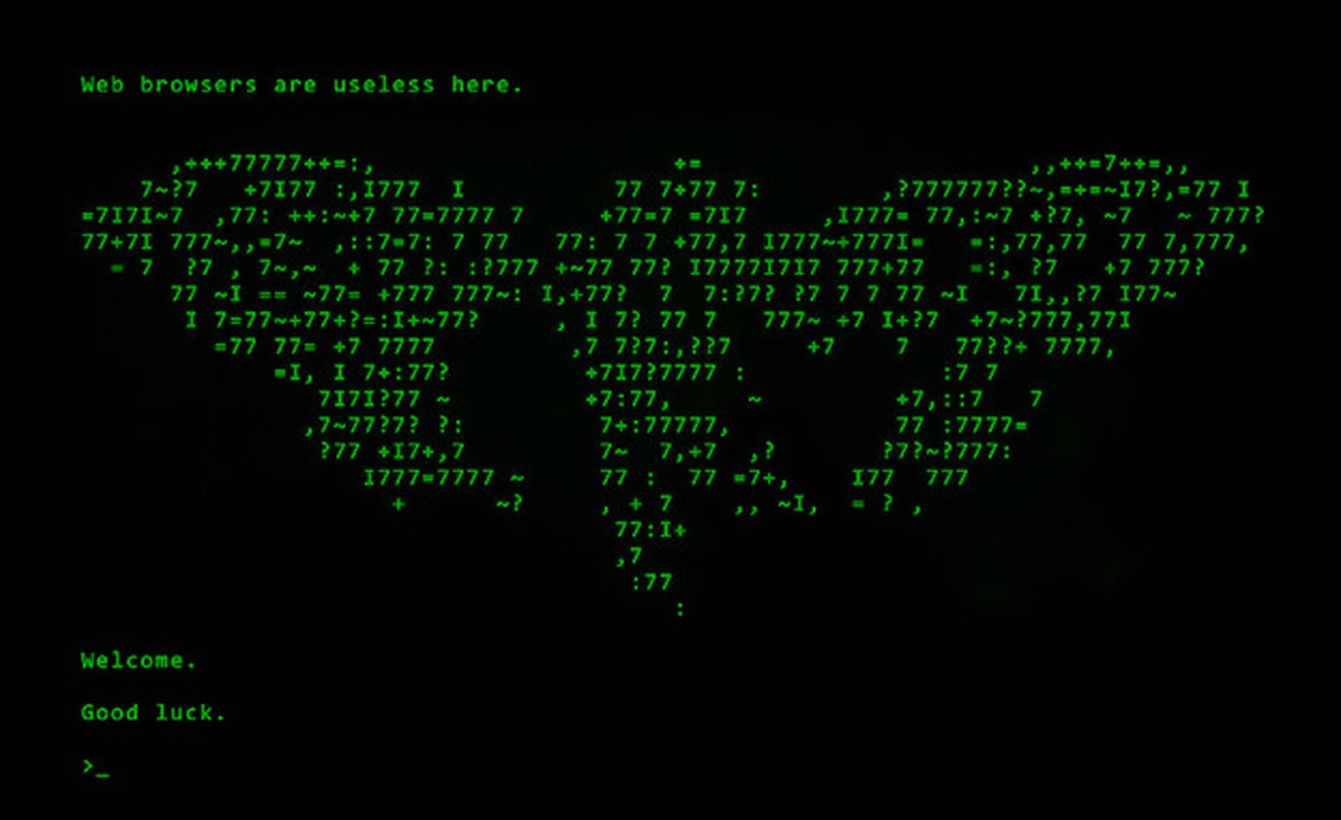 1920x1174 Cicada Matrix Green Digital Wallpaper