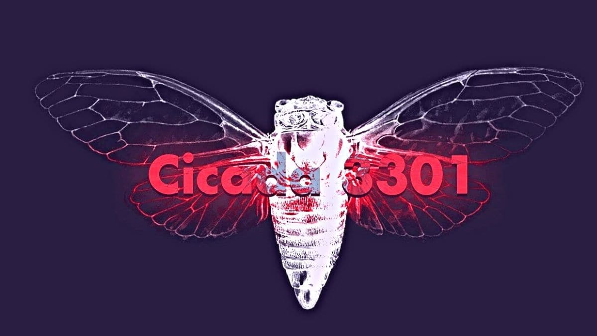 1200x675 Cicada 3301: the hardest puzzle