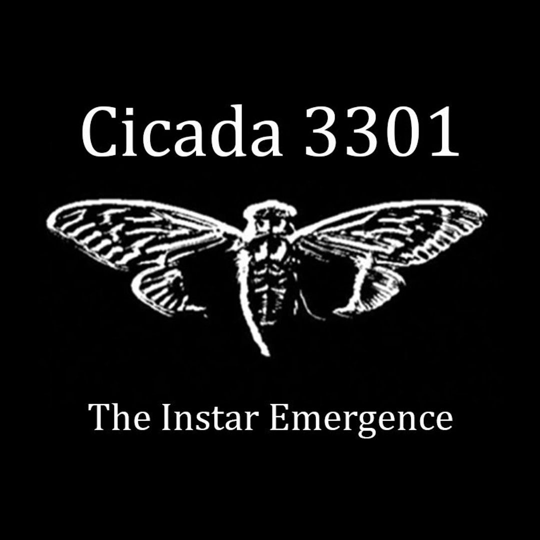1080x1080 Stream Cicada 3301 Instar