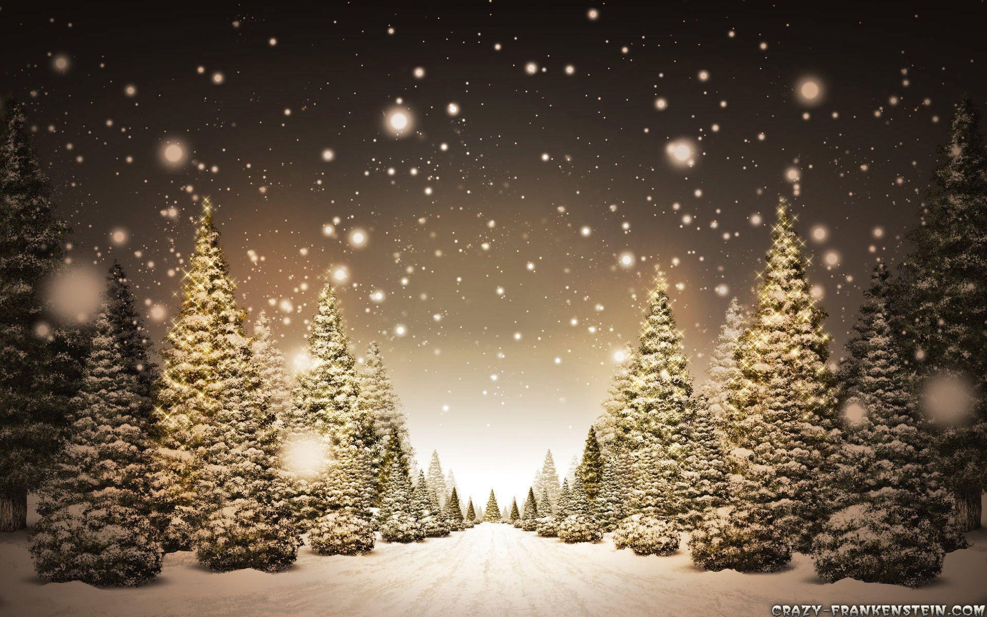 1920x1200 Snow Christmas Wallpaper