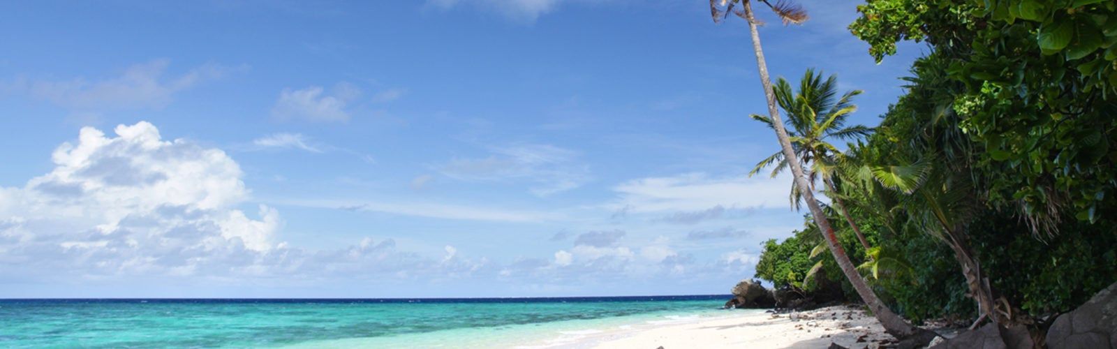 1600x500 Royal Davui Island Resort