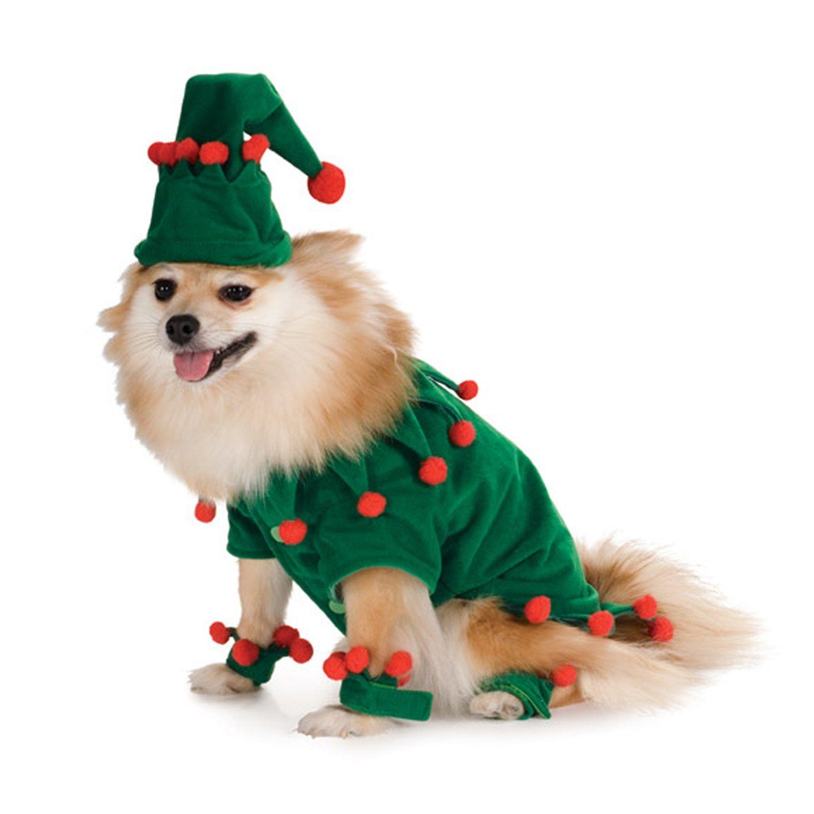 1600x1600 Christmas Pet Costume ▻ Dress The Dog for your pets!