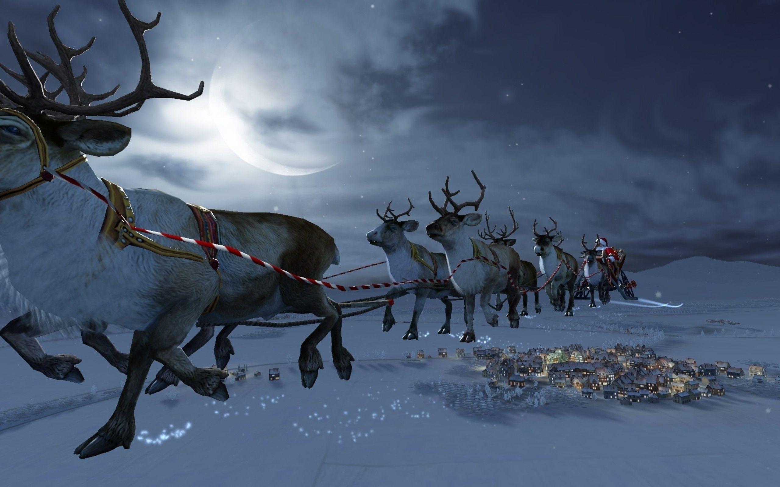 Christmas Reindeer Wallpapers - Top Free Christmas Reindeer Backgrounds