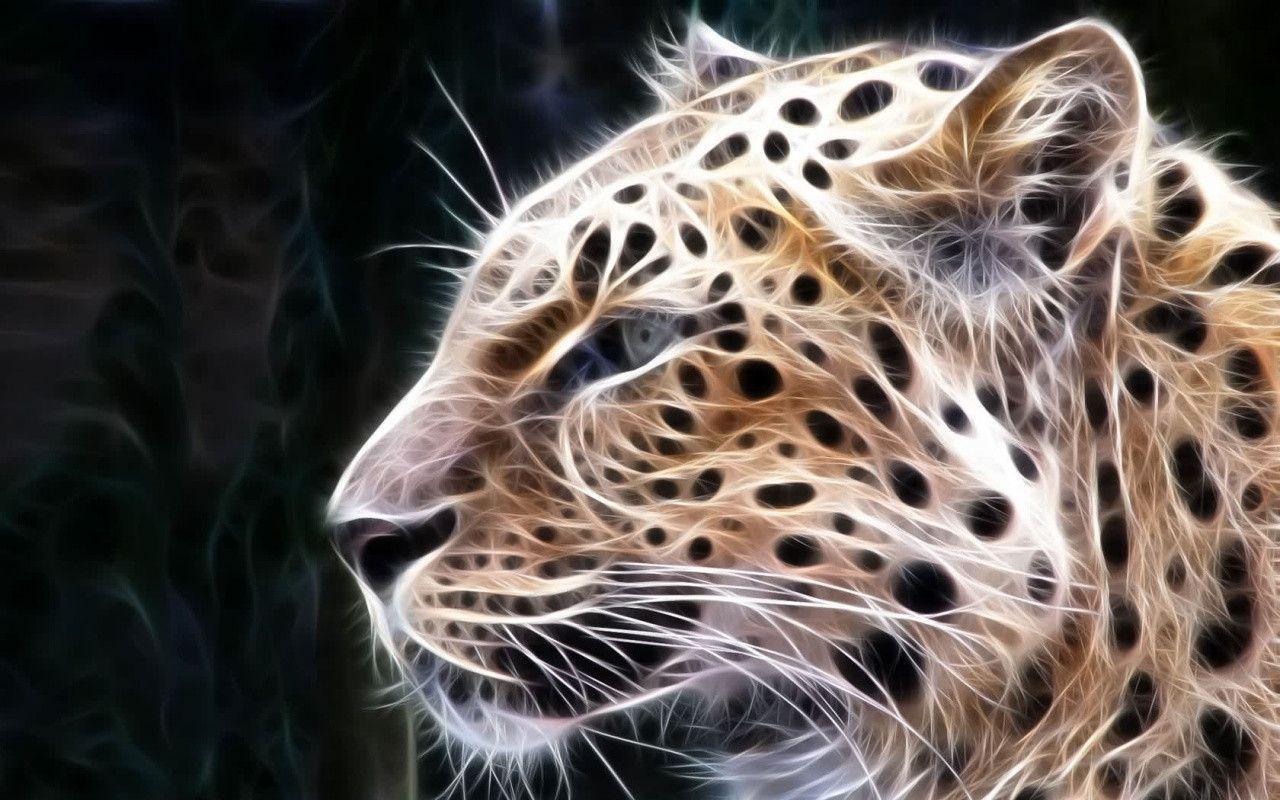 Big Cats Wallpapers Top Free Big Cats Backgrounds Wallpaperaccess