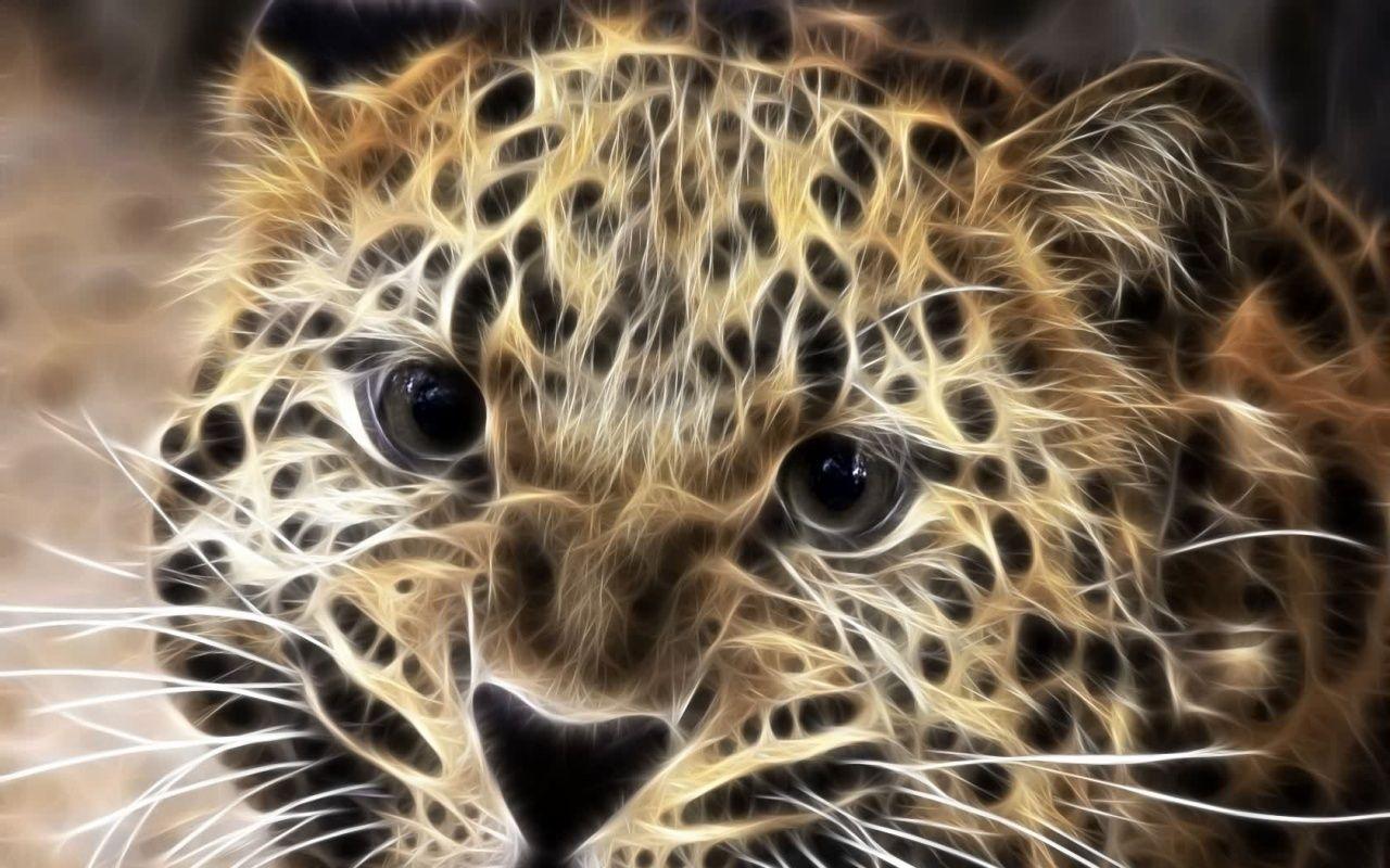 Big Cats Wallpapers - Top Free Big Cats Backgrounds - WallpaperAccess