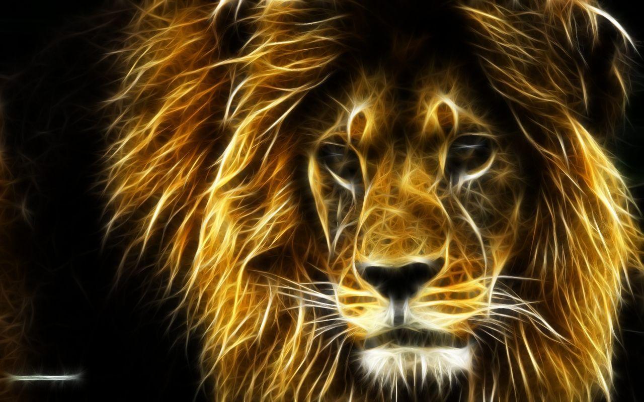 Big Cats Wallpapers - Top Free Big Cats Backgrounds - WallpaperAccess