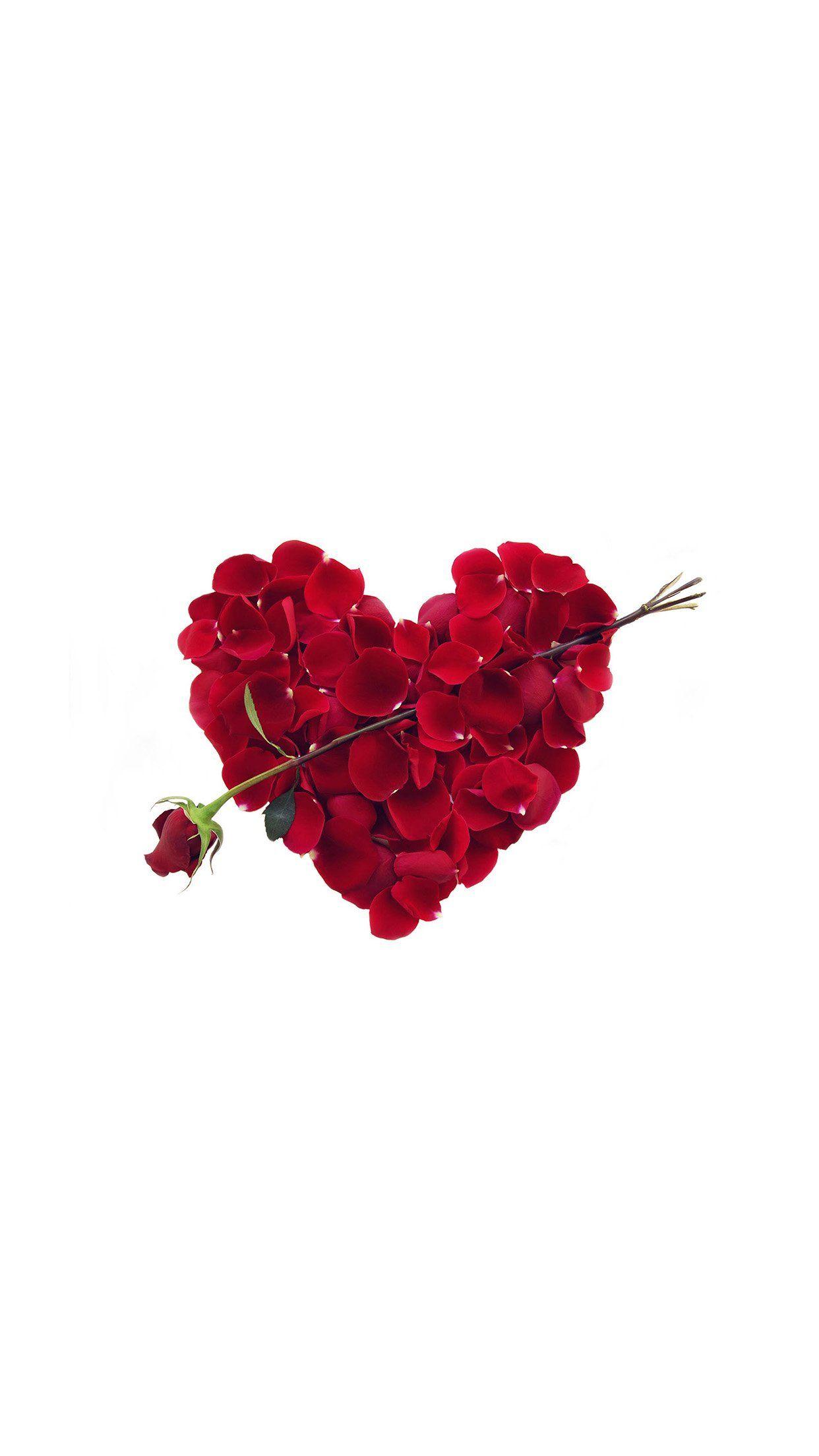 1242x2208 iPhone6papers.co. iPhone 6 wallpaper. rose love