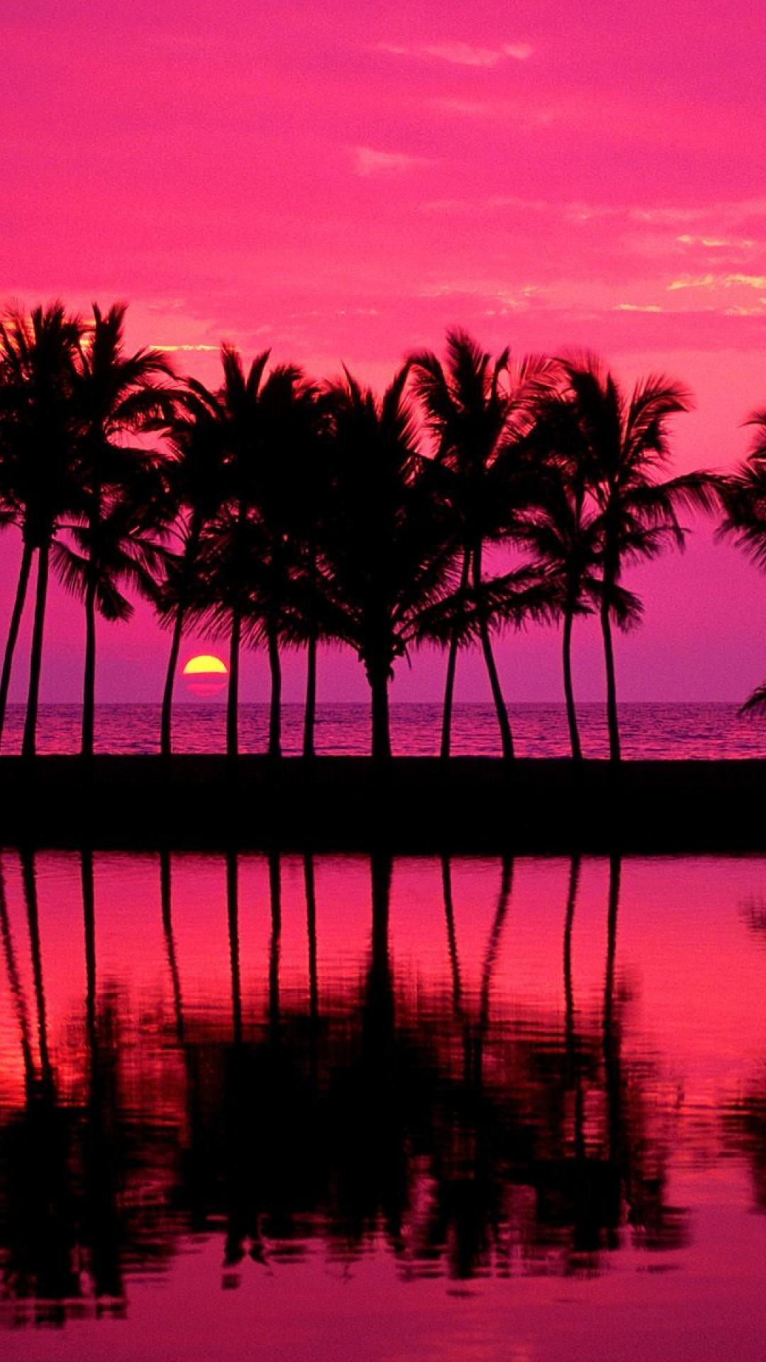 1080x1920 Free download Tumblr Palm Trees Girly Pink iPhone 6 Plus