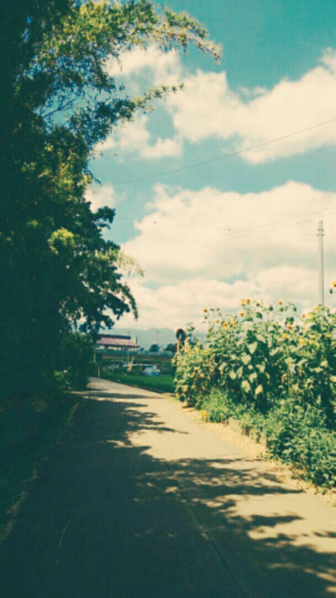 1080x1920 Road summer. wallpaper.sc iPhone6sPlus