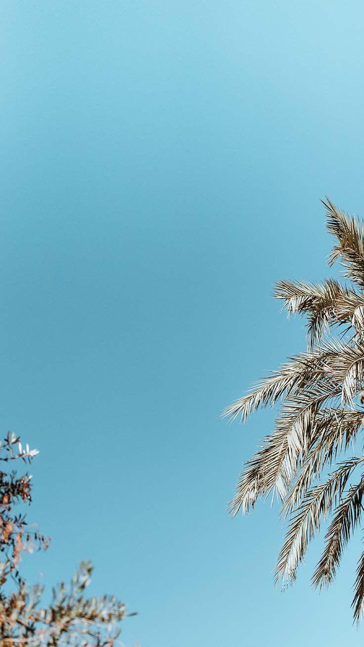 736x1308 Super Fun Summer iPhone 8 Plus Wallpaper