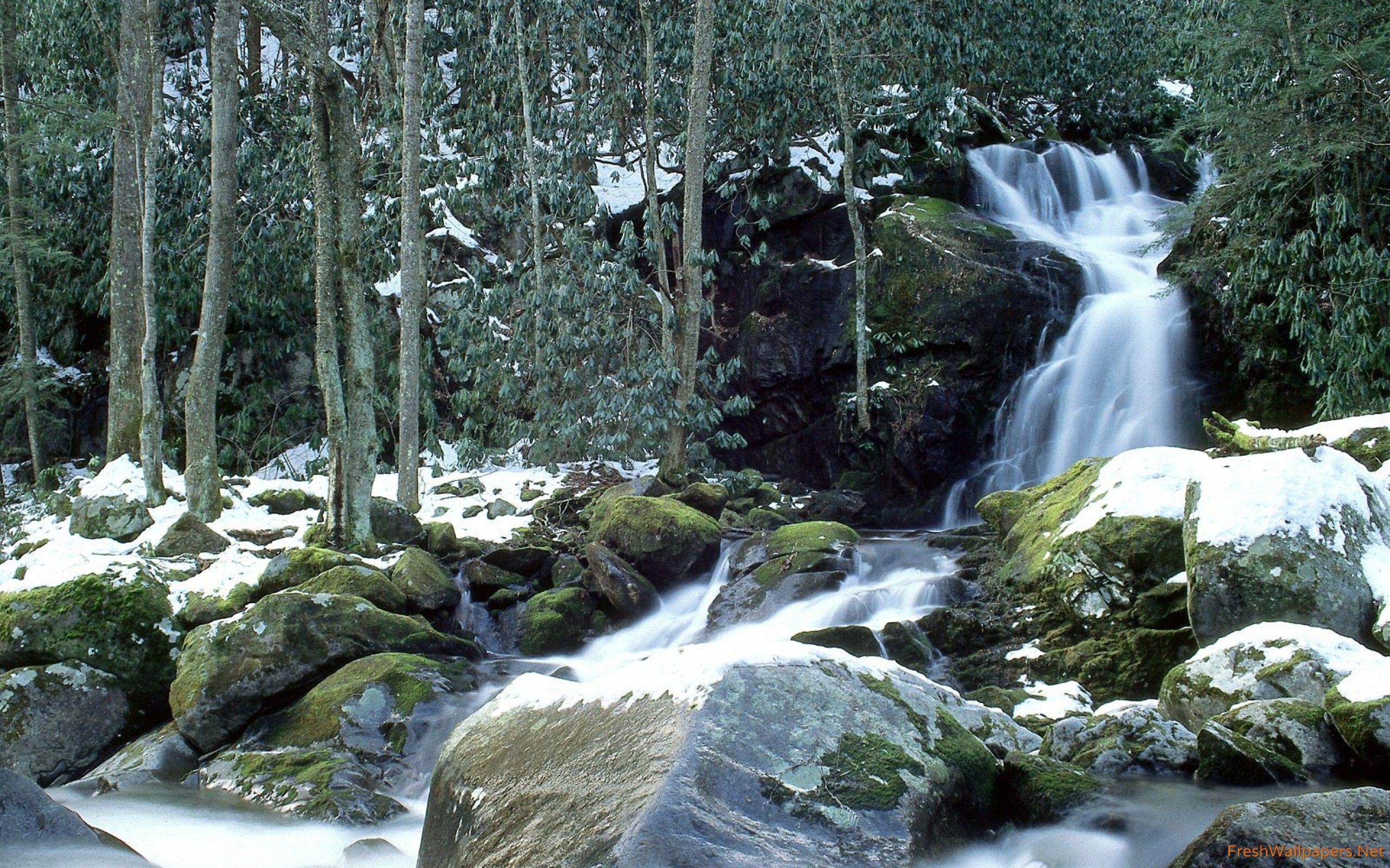 2560x1600 Mouse Creek Falls in Winter, Great Smoky Mountains, North
