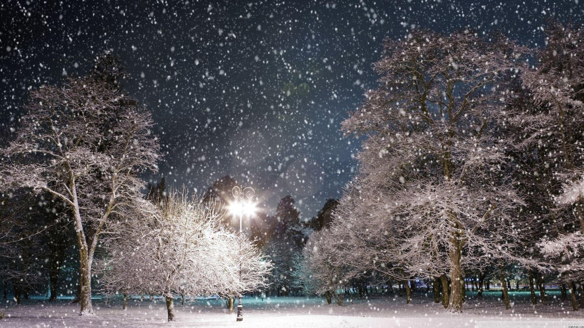 1920x1080 Desktop Wallpaper HD Winter Night