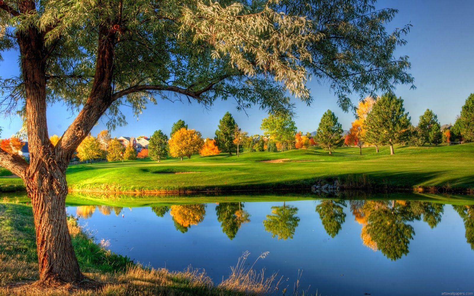1600x1000 Lush Green Golf Club Trees HD Desktop Background Wallpaper