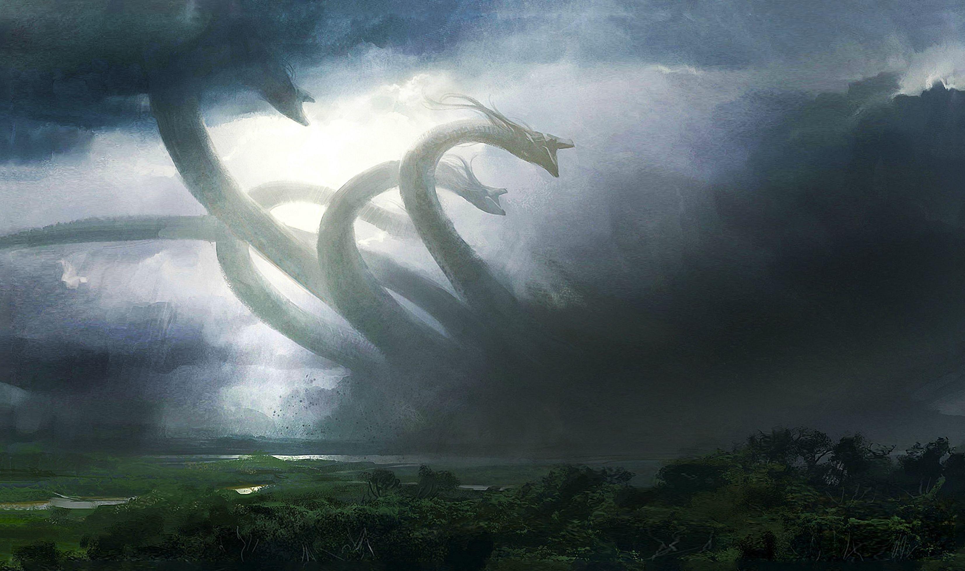 Hydra Wallpapers - Top Free Hydra Backgrounds - WallpaperAccess