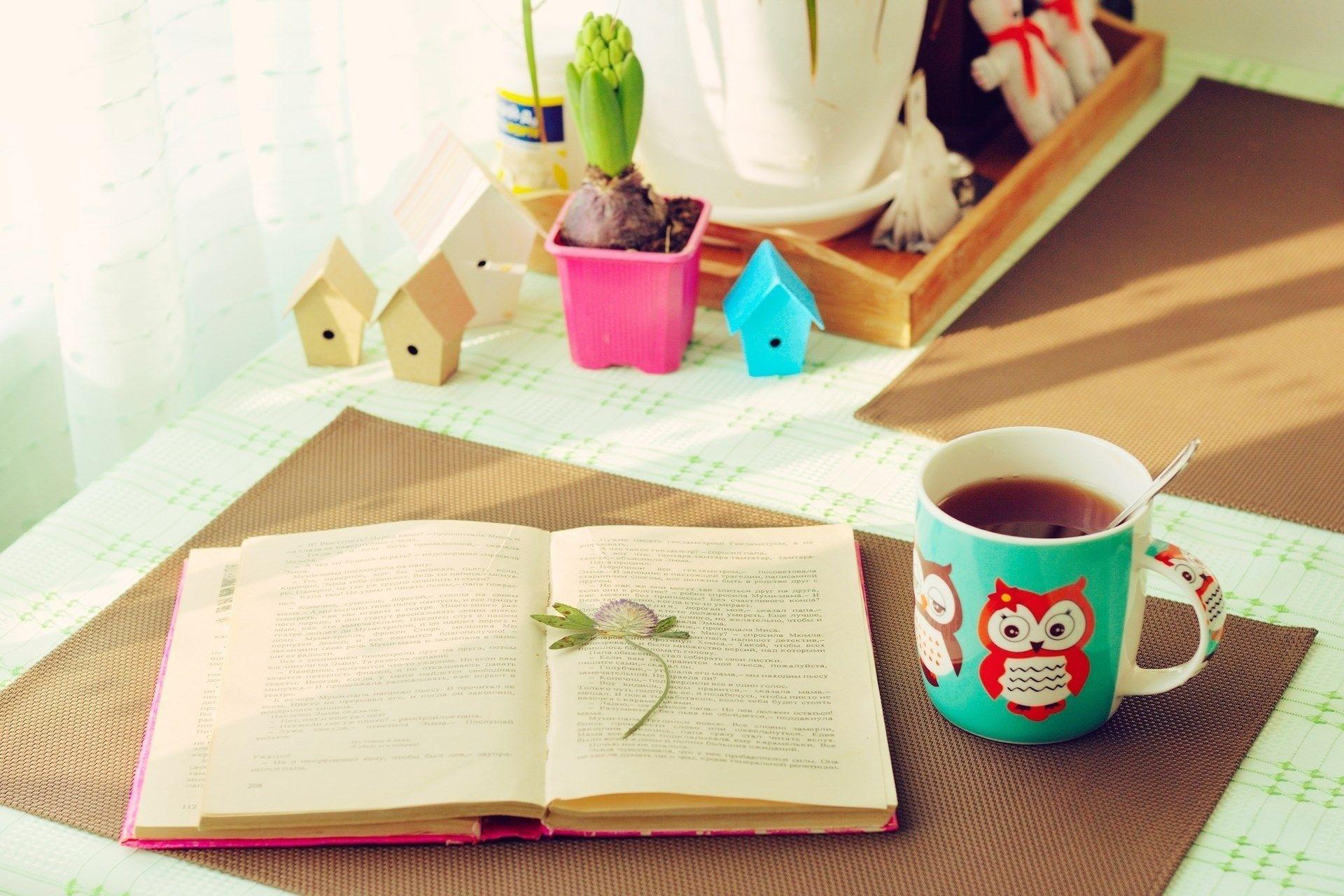 1920x1280 Cute Book Wallpaper