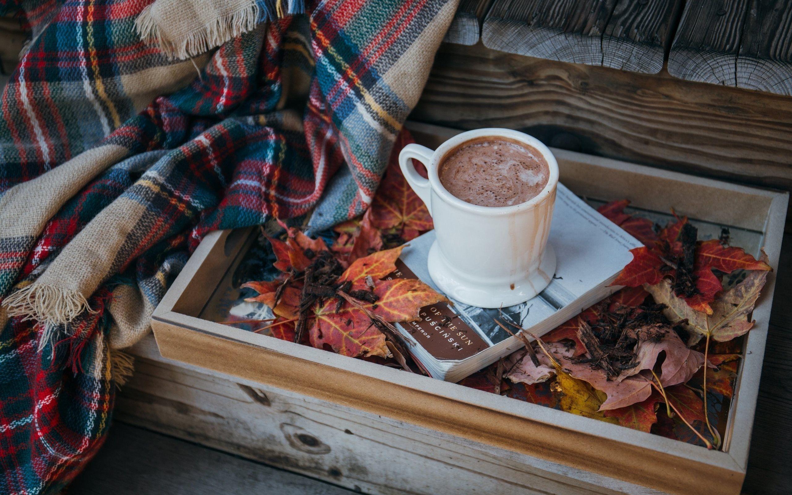 2560x1600 Download wallpaper cup of coffee, latte, book, plaid, mood