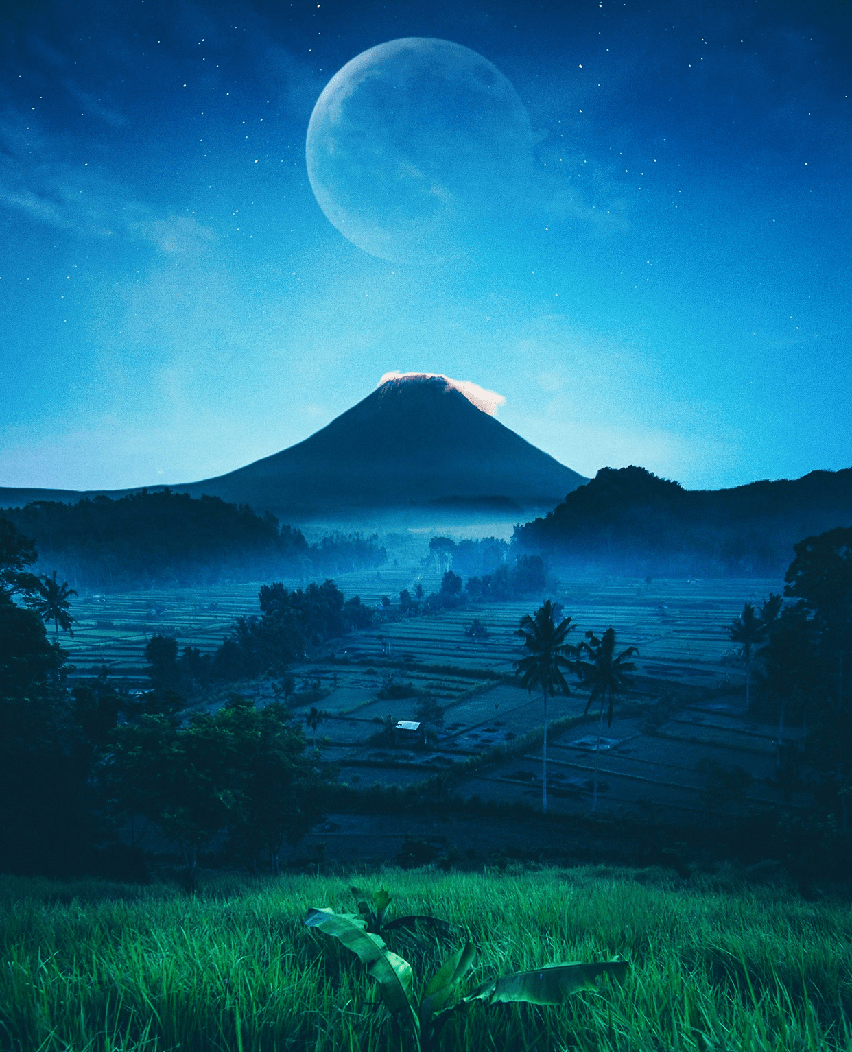 Perspective iPhone Wallpapers Top Free Perspective iPhone Backgrounds WallpaperAccess