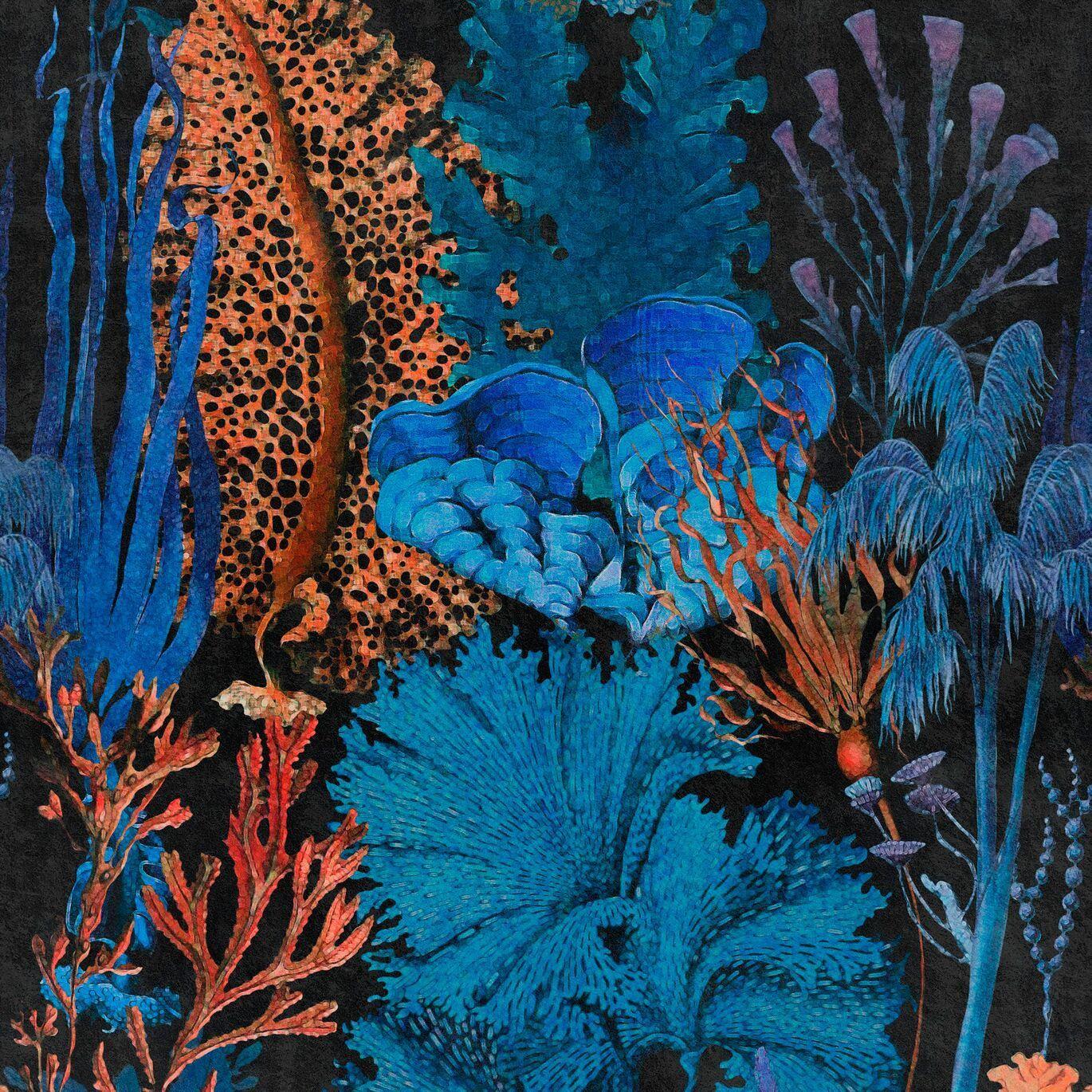 1370x1370 Coral Reef Wallpaper
