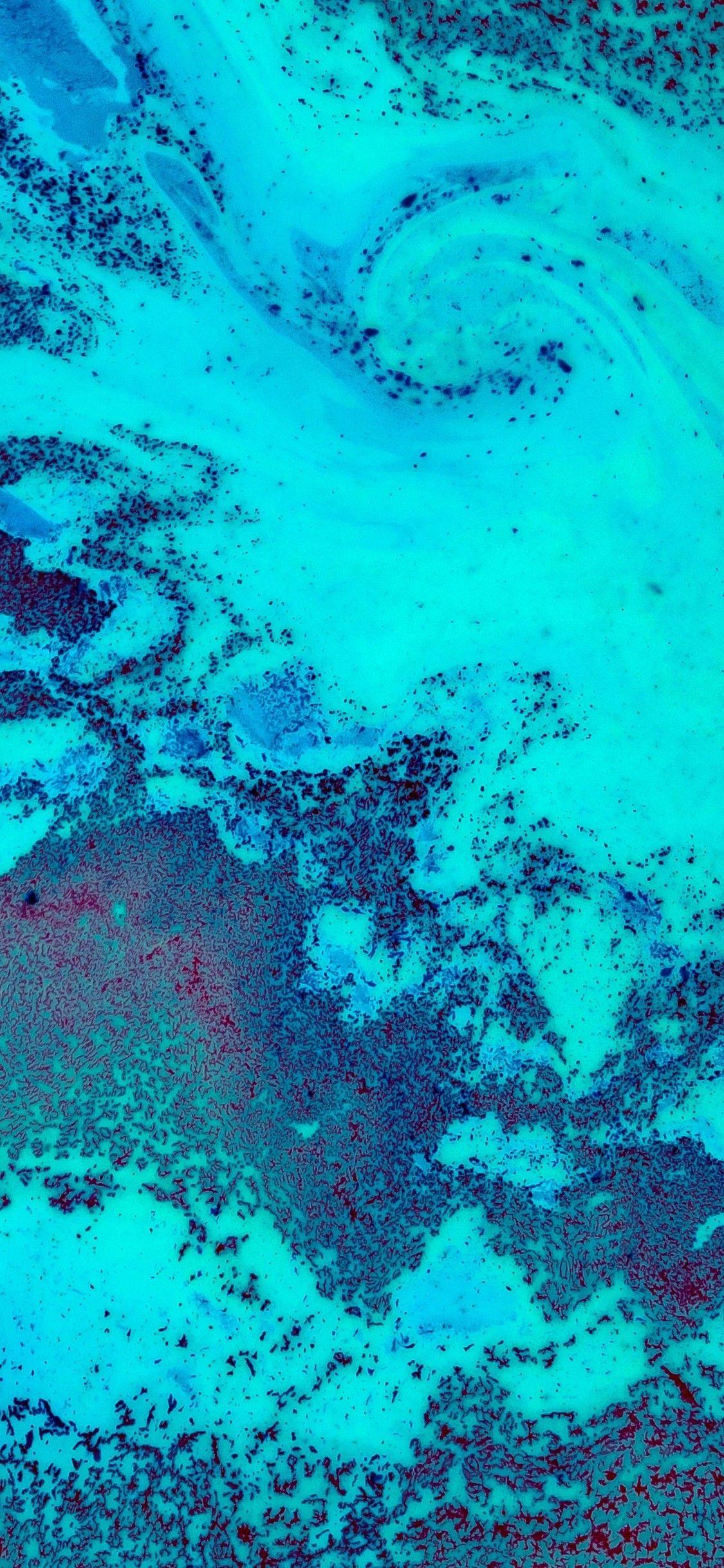 1125x2436 Coral Reef 5k iPhone XS, iPhone iPhone X HD 4k