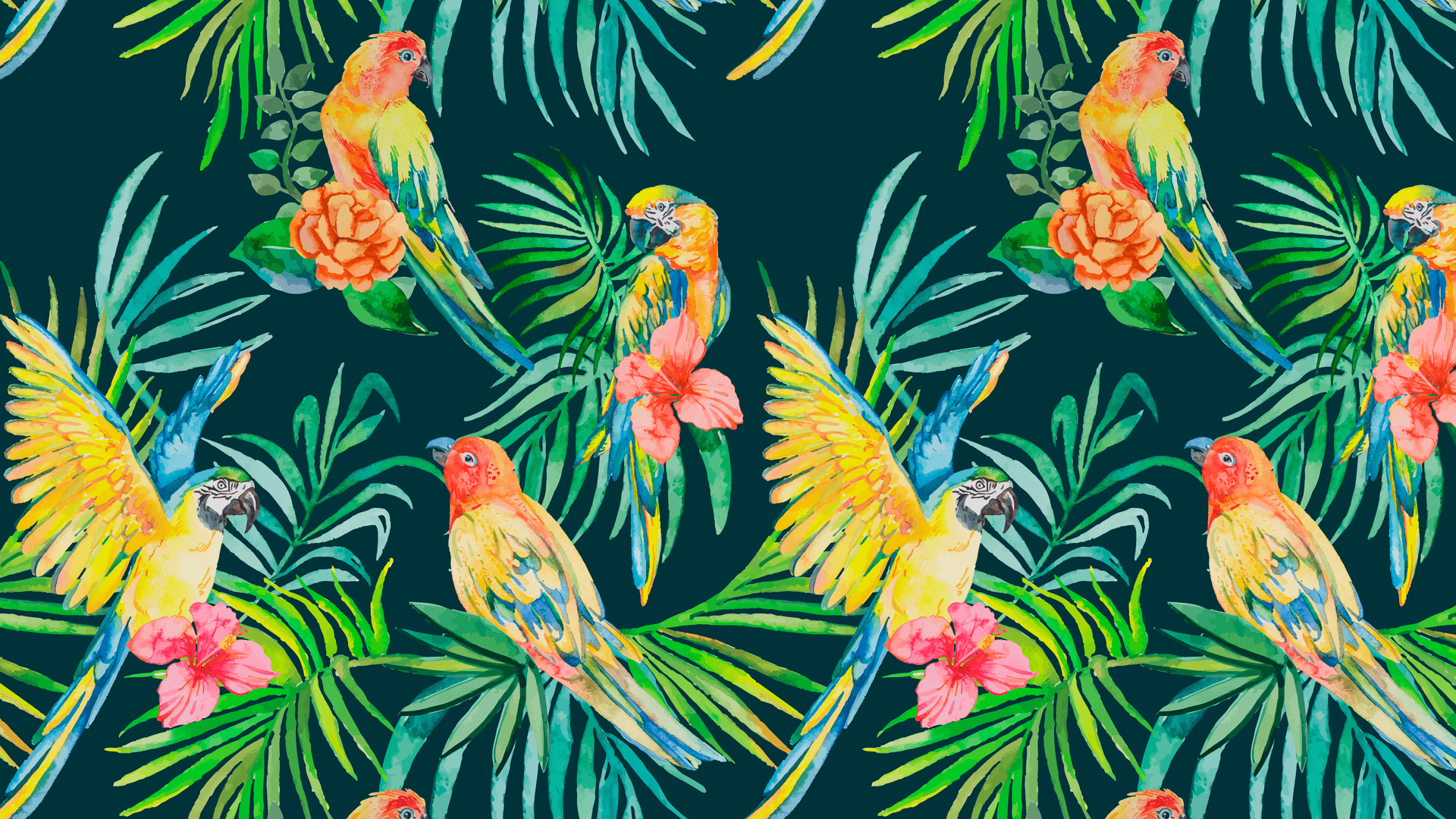 1920x1080 View Hollister, Flower, HD Wallpaper
