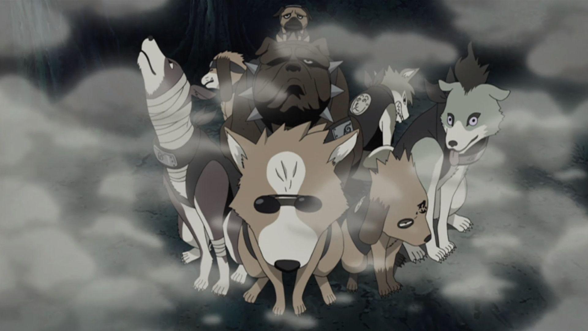 1920x1080 Inuzuka Kiba Wallpaper