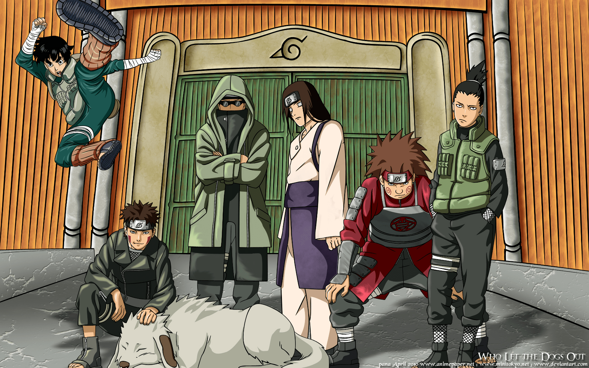 1920x1200 Kiba Inuzuka HD Wallpaper