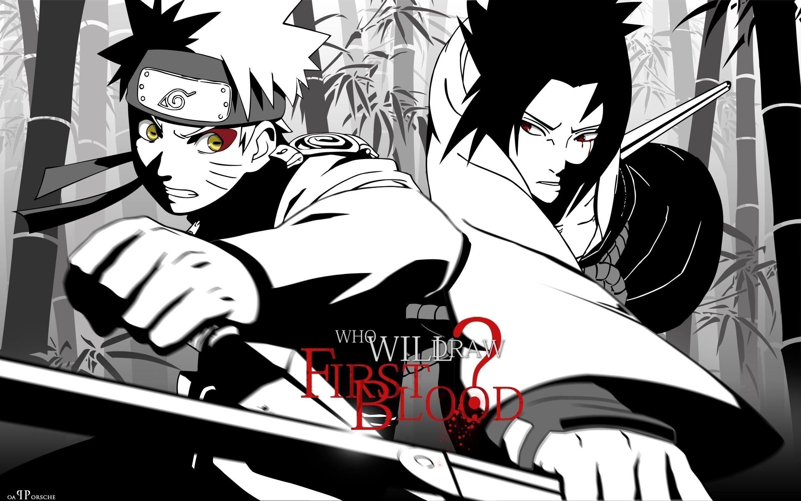 2560x1600 Kiba Inuzuka Wallpaper