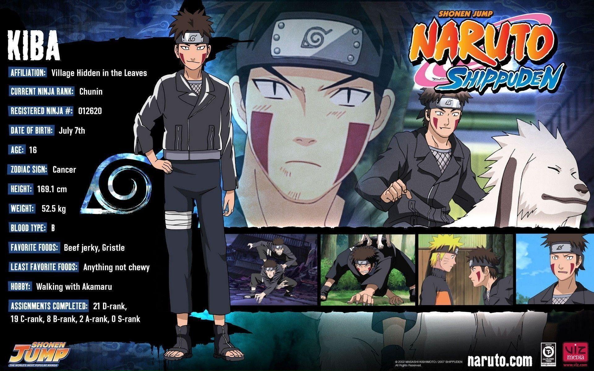 1920x1200 Kiba Wallpaper