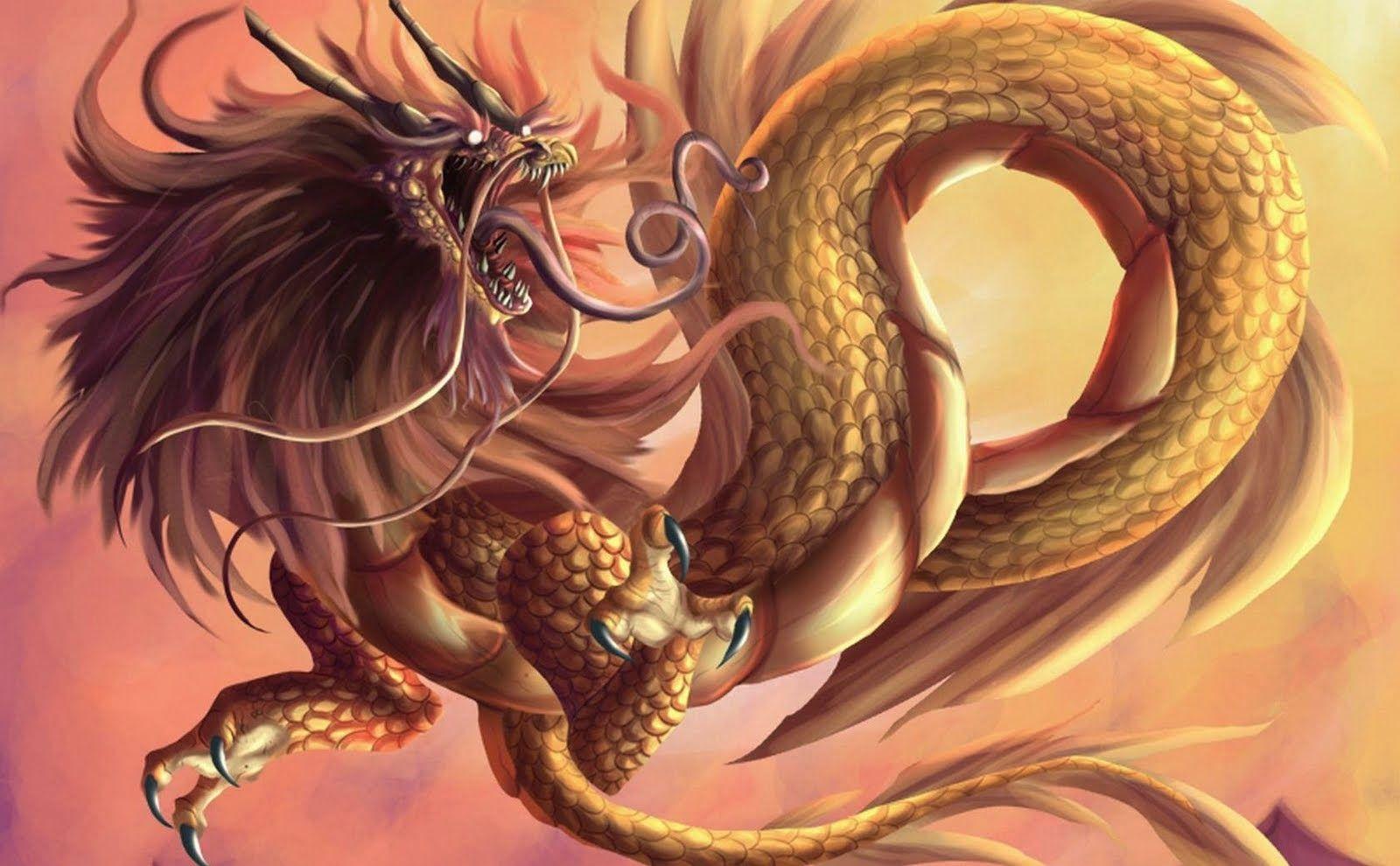 1600x990 Chinese dragon Wallpaper HD & Background Desktop Wallpaper free